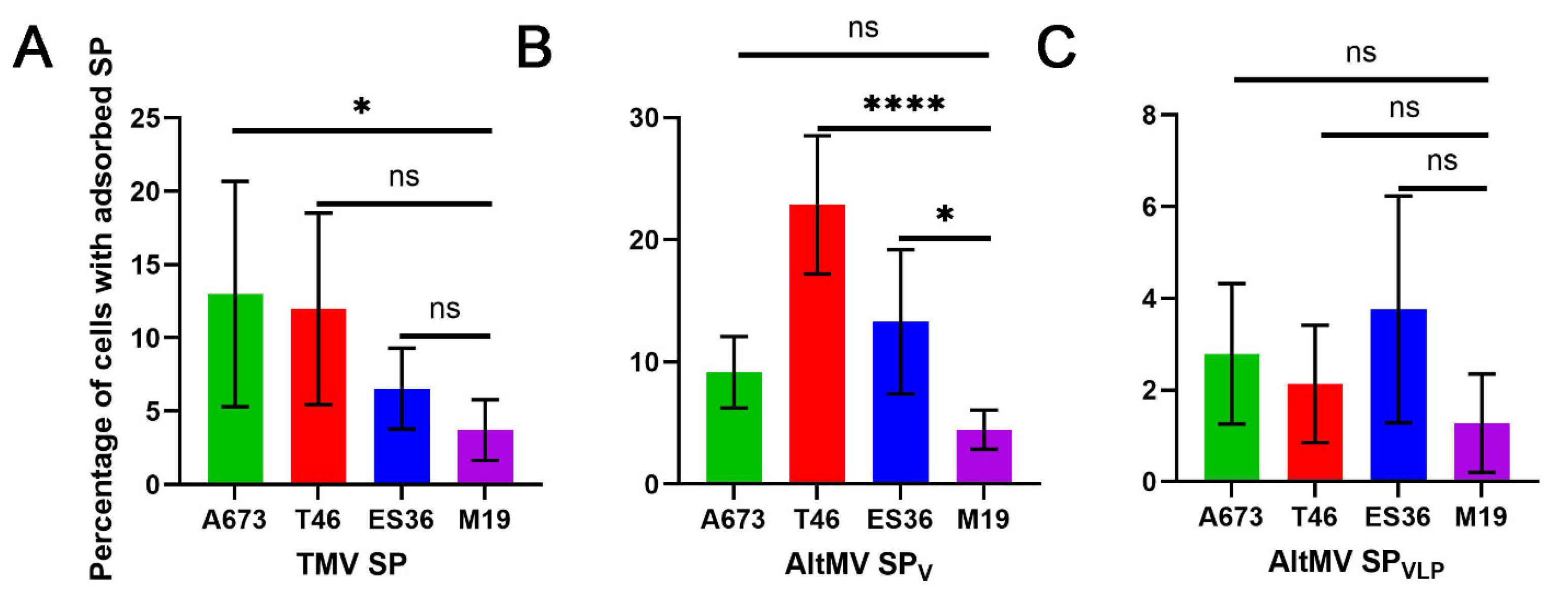 Viruses 16 01621 g004