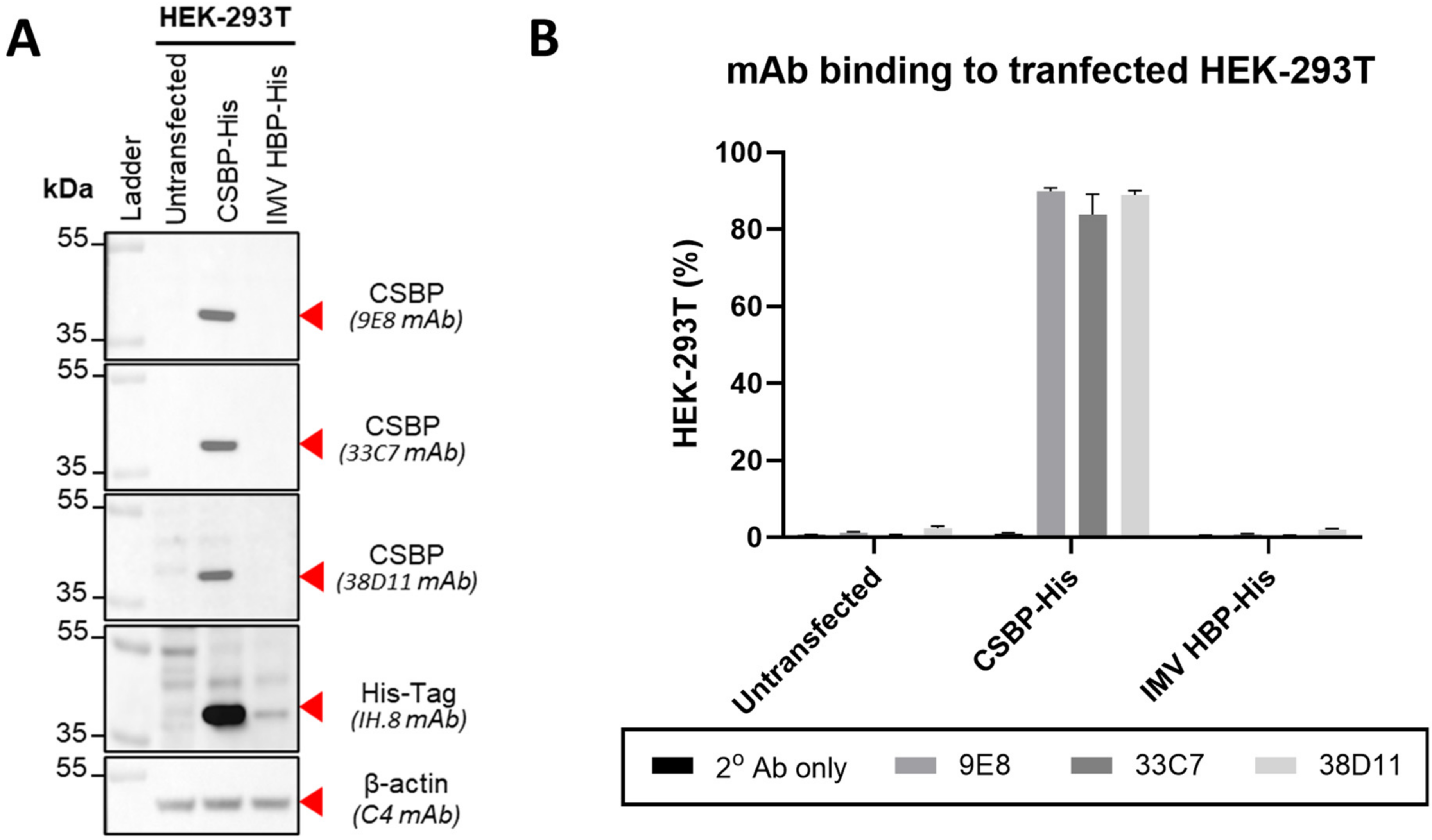 Viruses 16 01628 g003