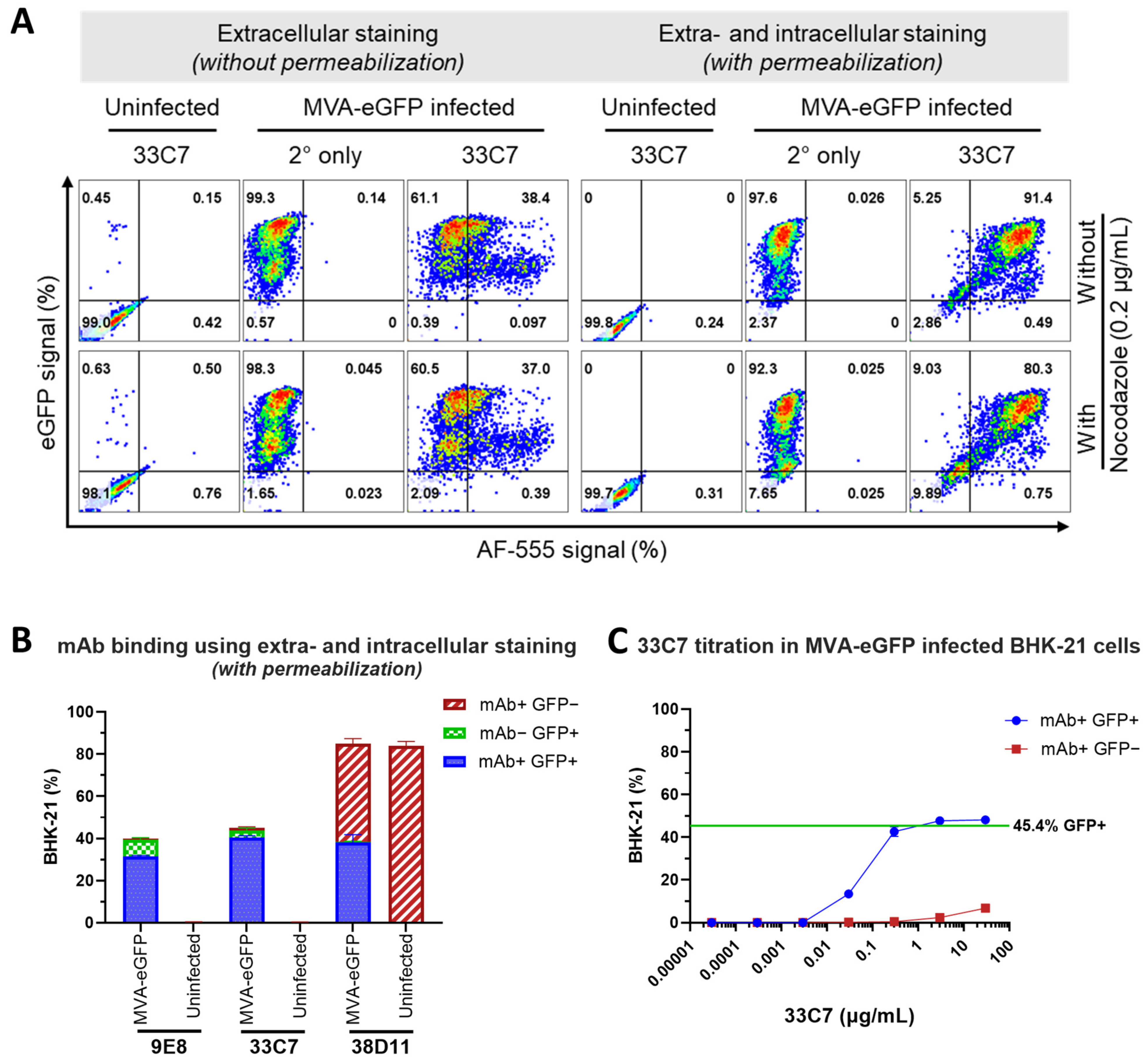 Viruses 16 01628 g004