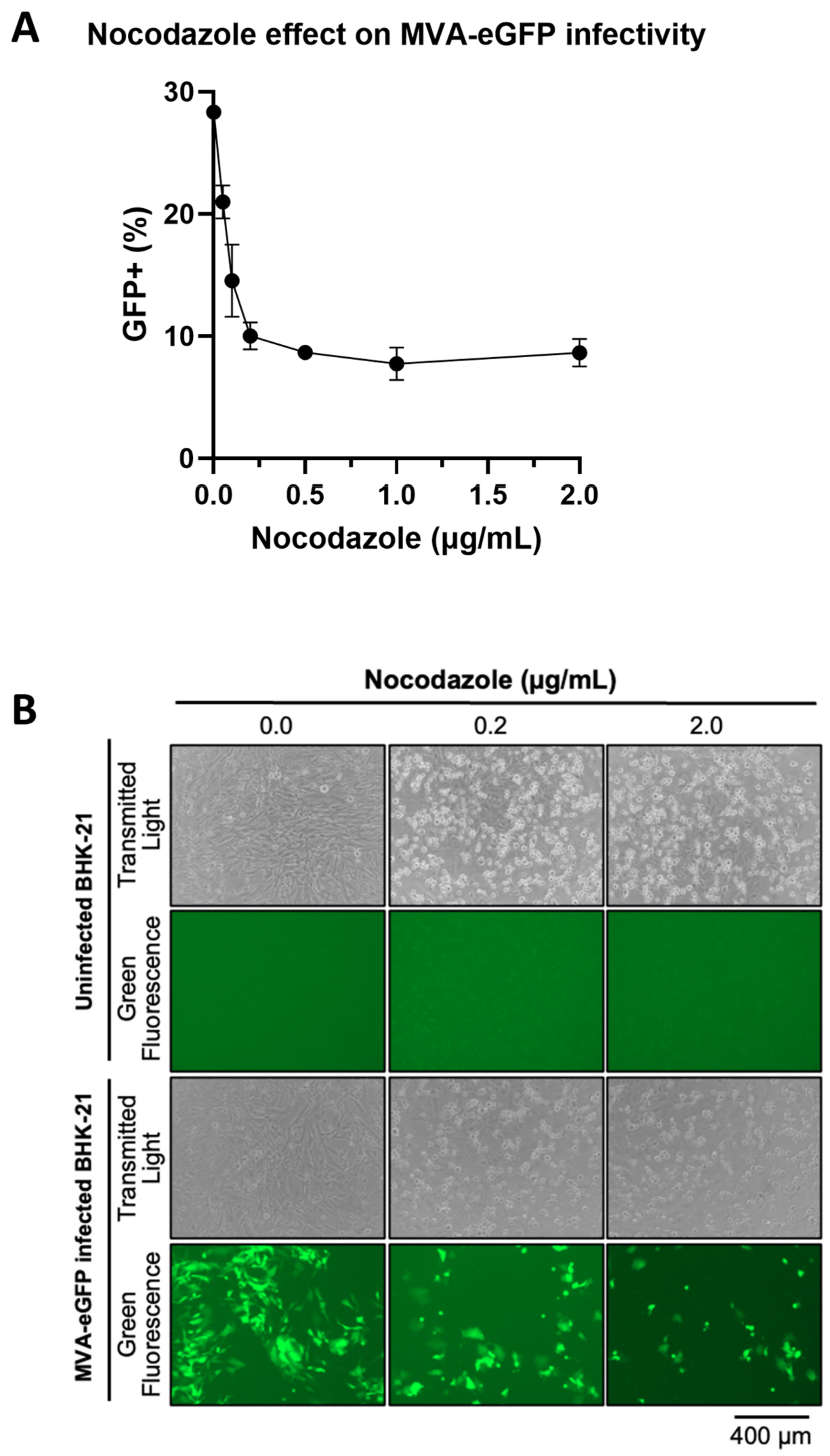 Viruses 16 01628 g0a4