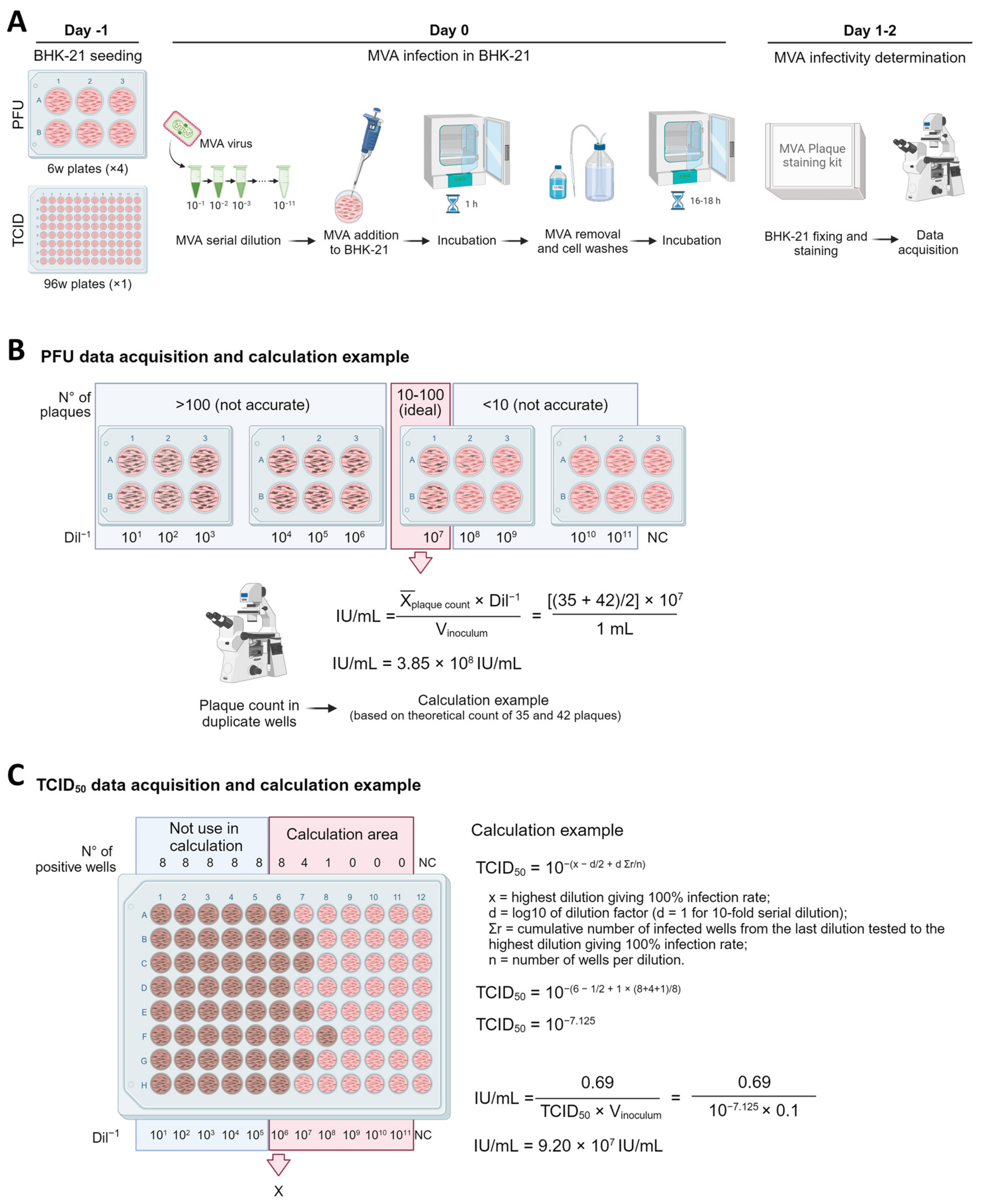 Viruses 16 01628 g0a6