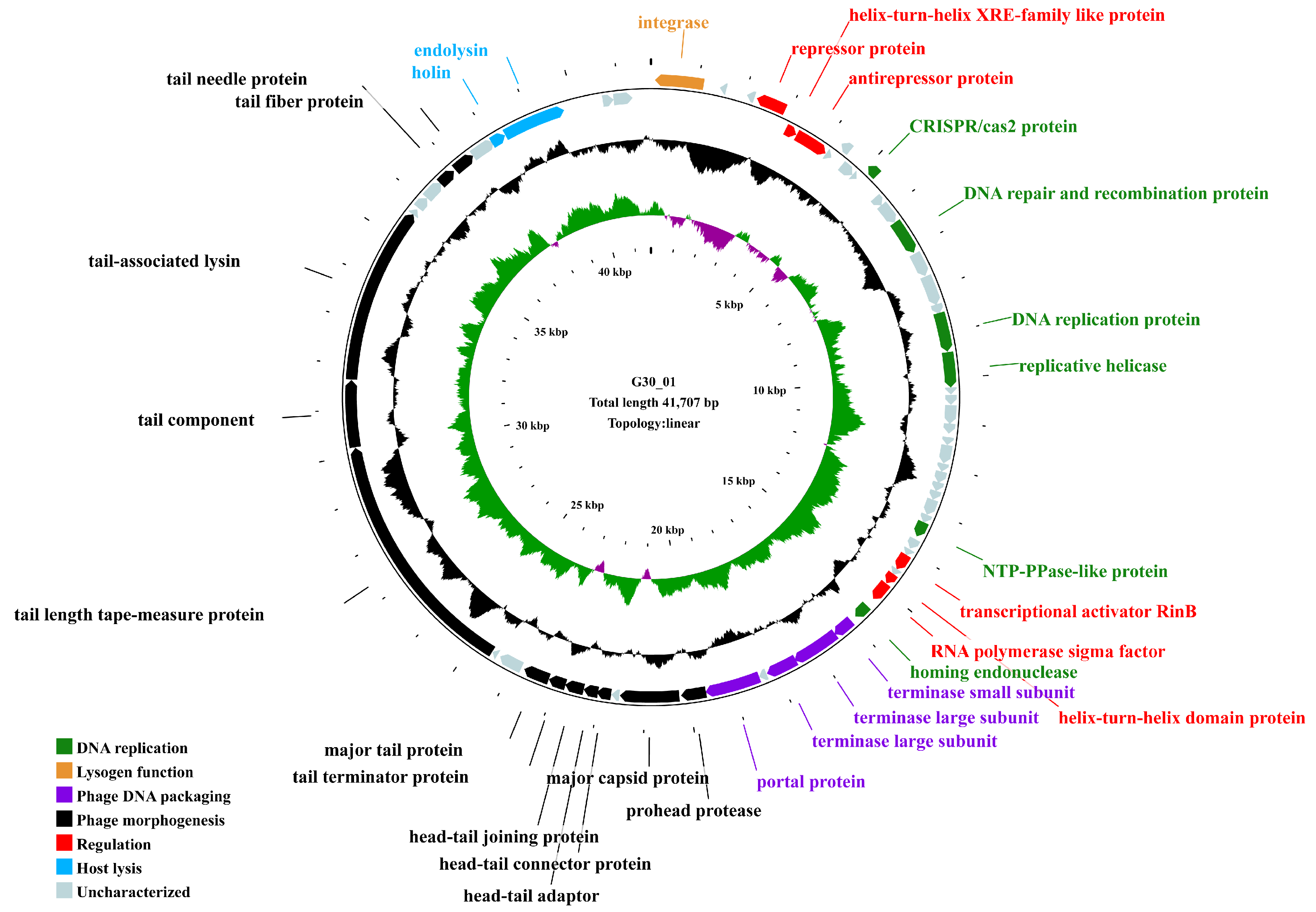 Viruses 16 01631 g003