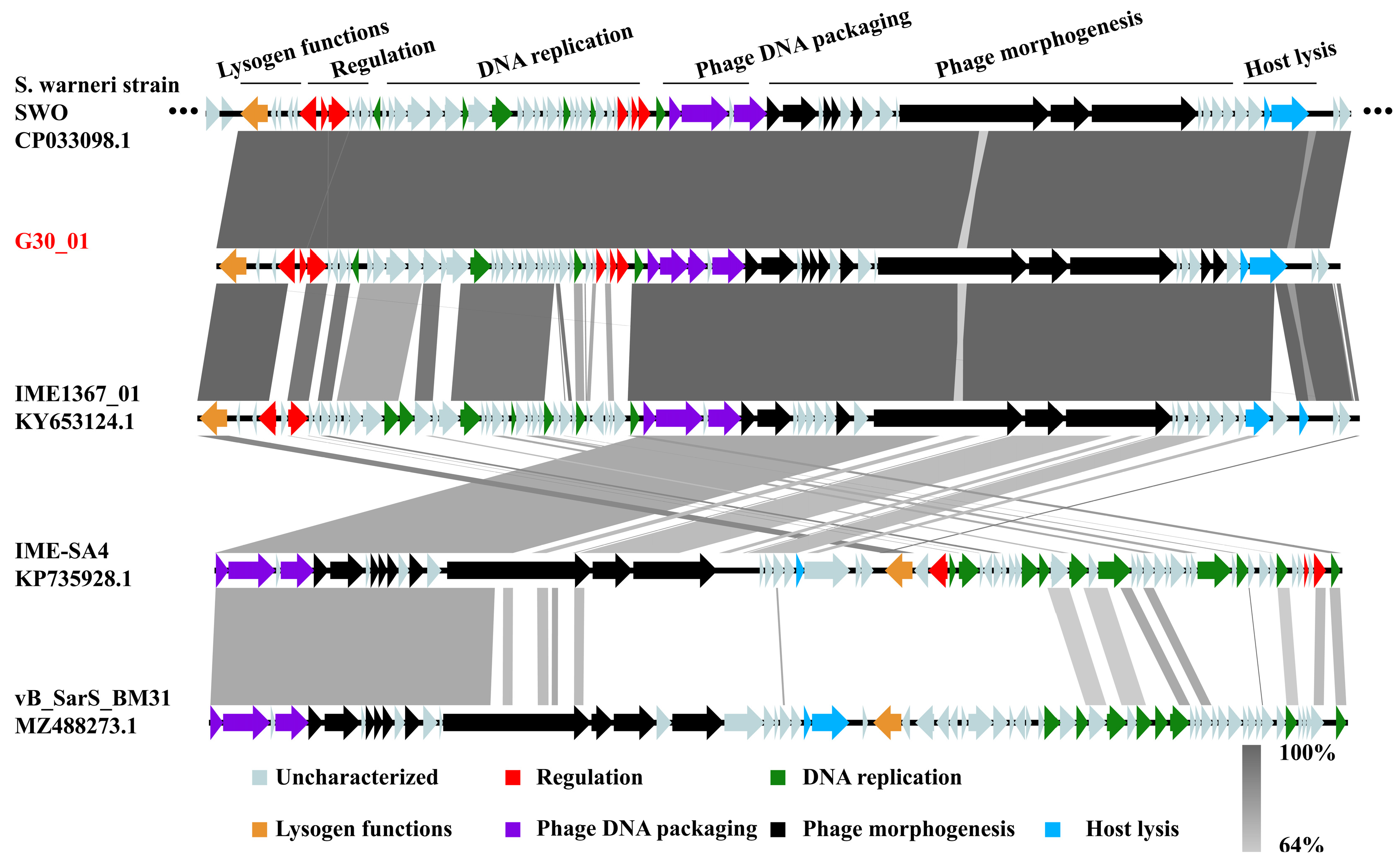 Viruses 16 01631 g005