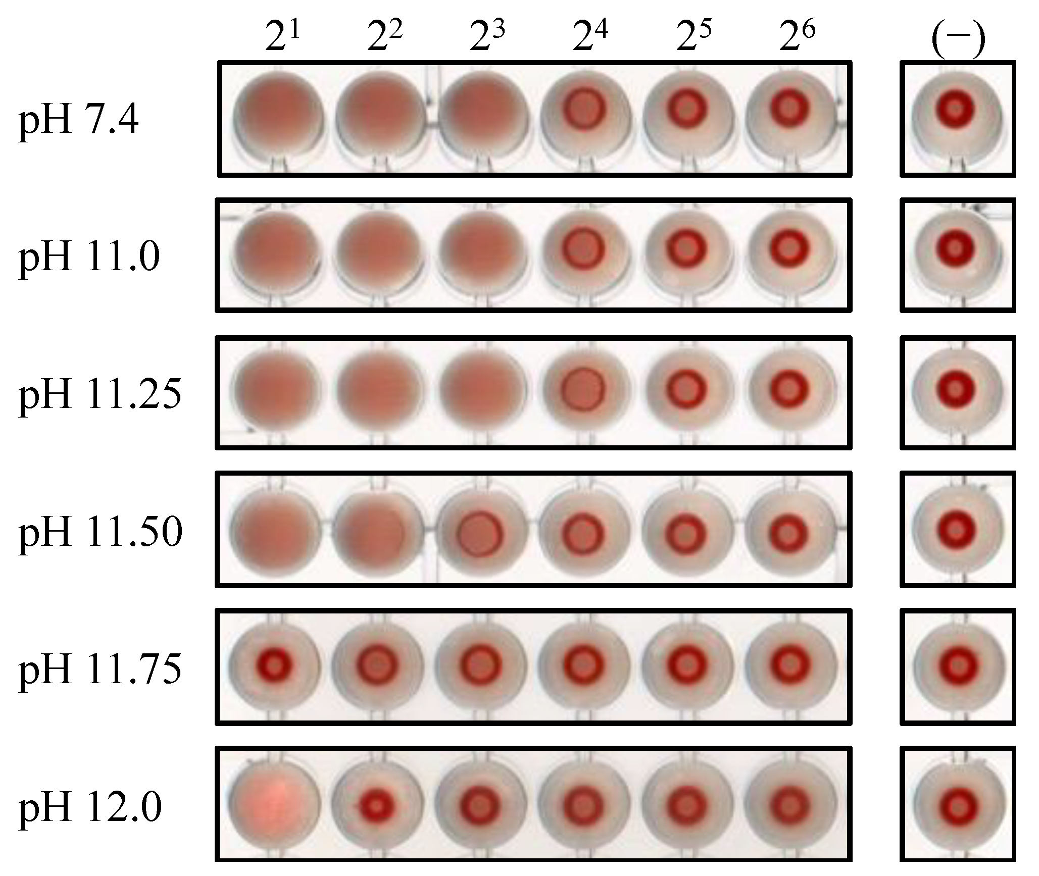 Viruses 16 01636 g005 Viruses 16 01636 g005