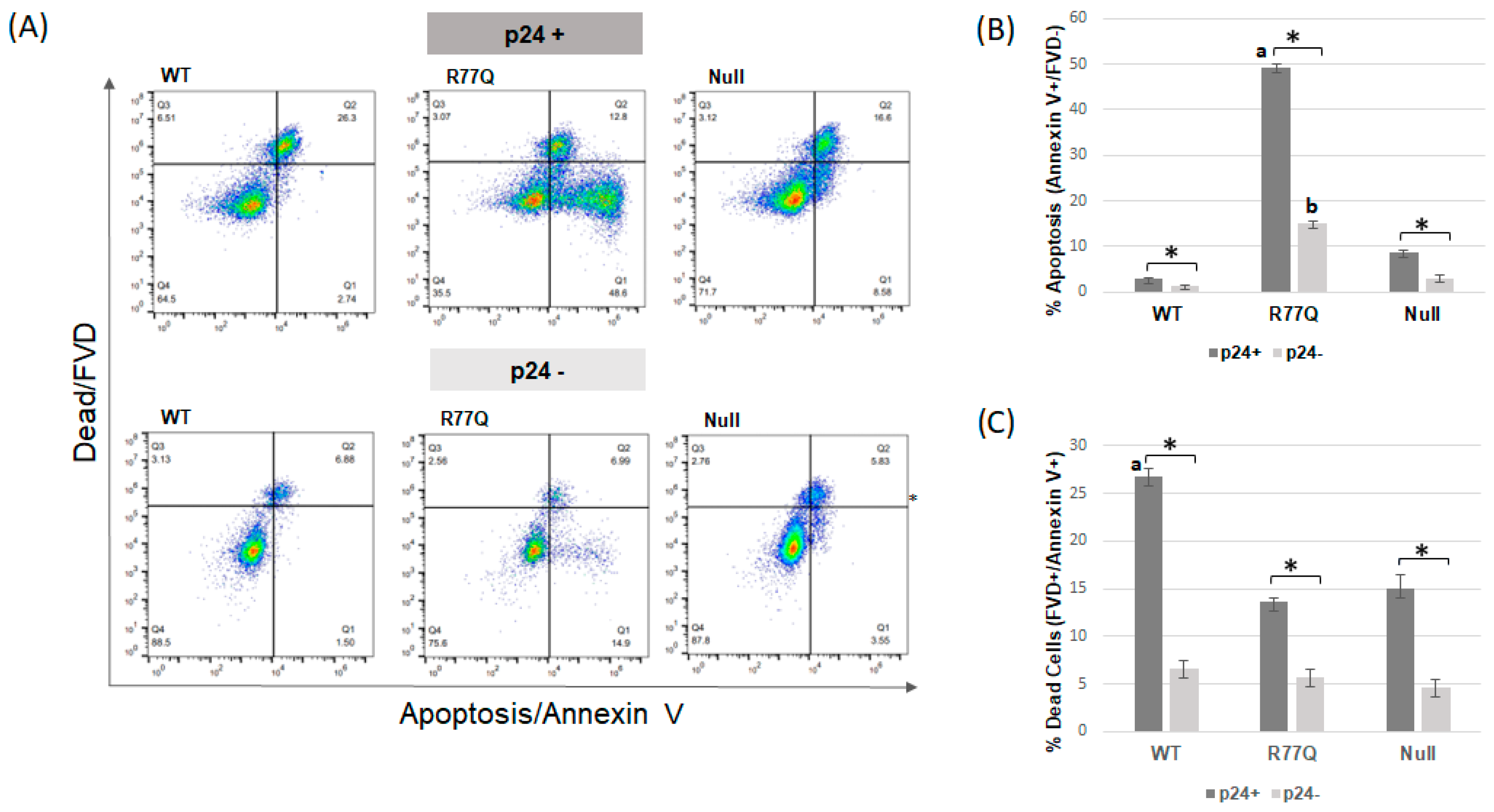 Viruses 16 01642 g004 Viruses 16 01642 g004