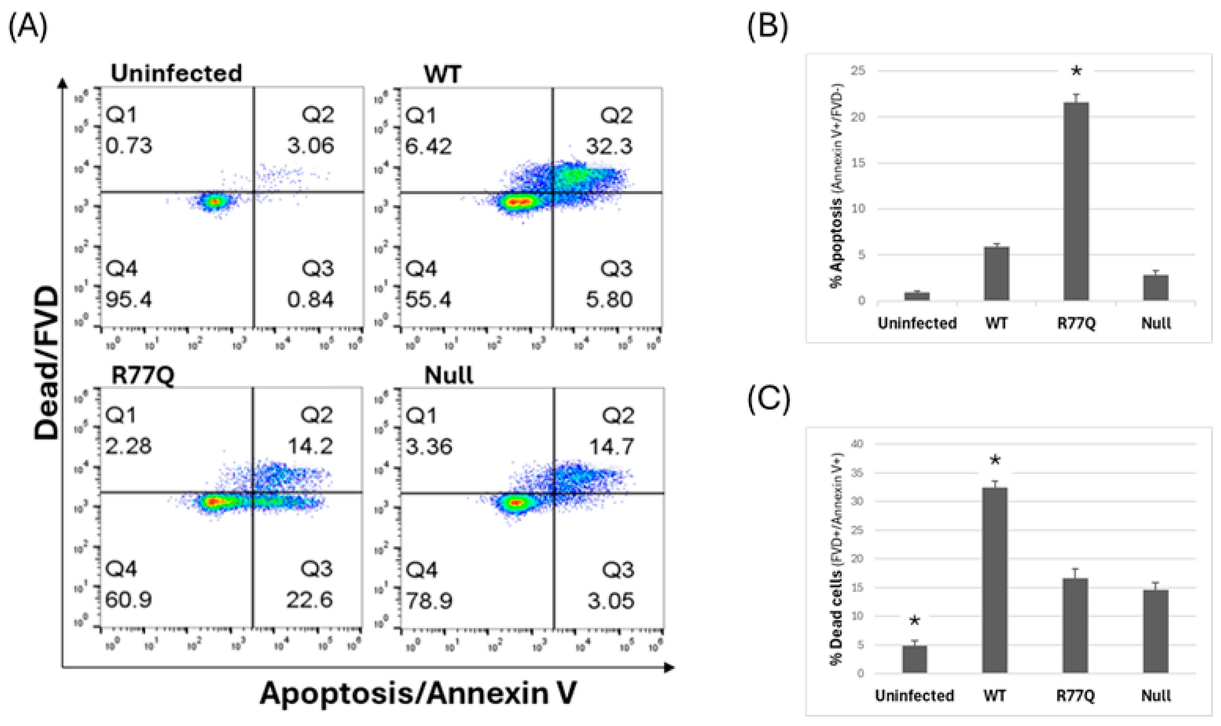 Viruses 16 01642 g005 Viruses 16 01642 g005