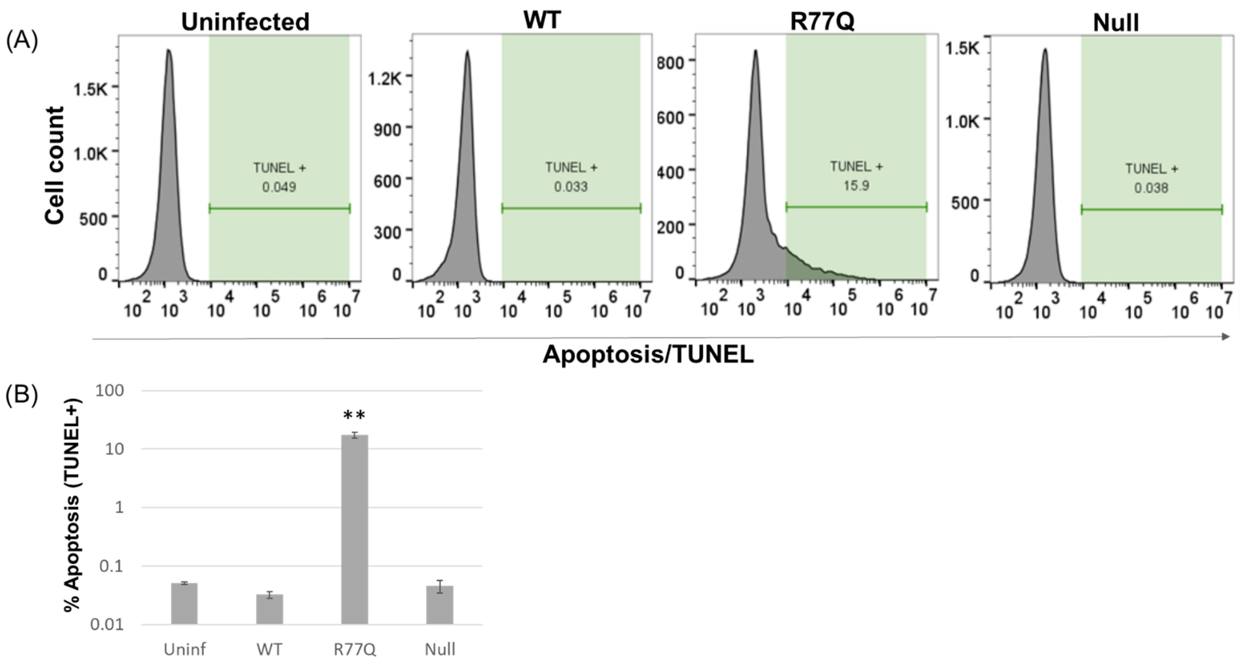 Viruses 16 01642 g006 Viruses 16 01642 g006