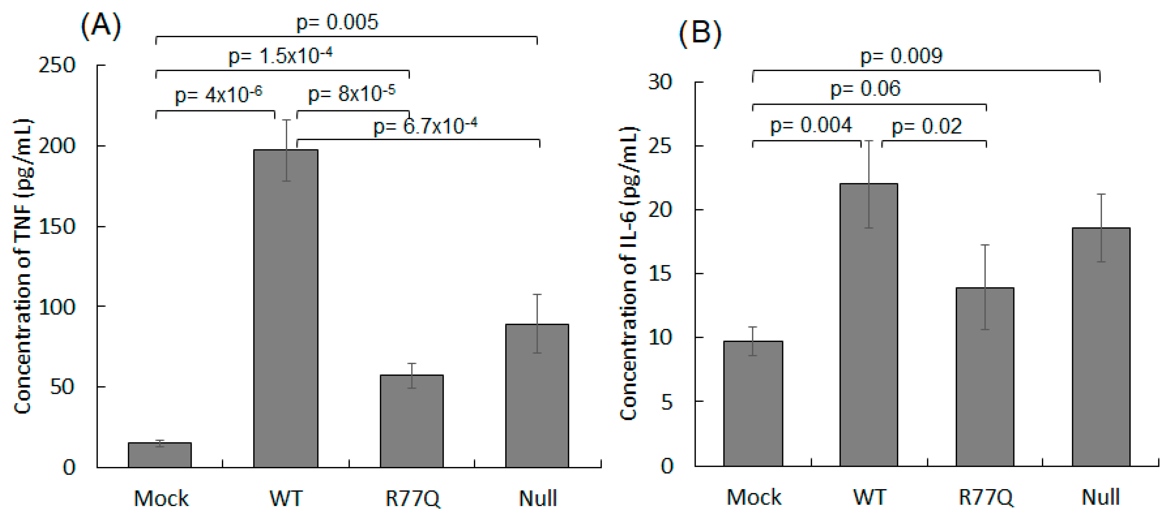 Viruses 16 01642 g008 Viruses 16 01642 g008