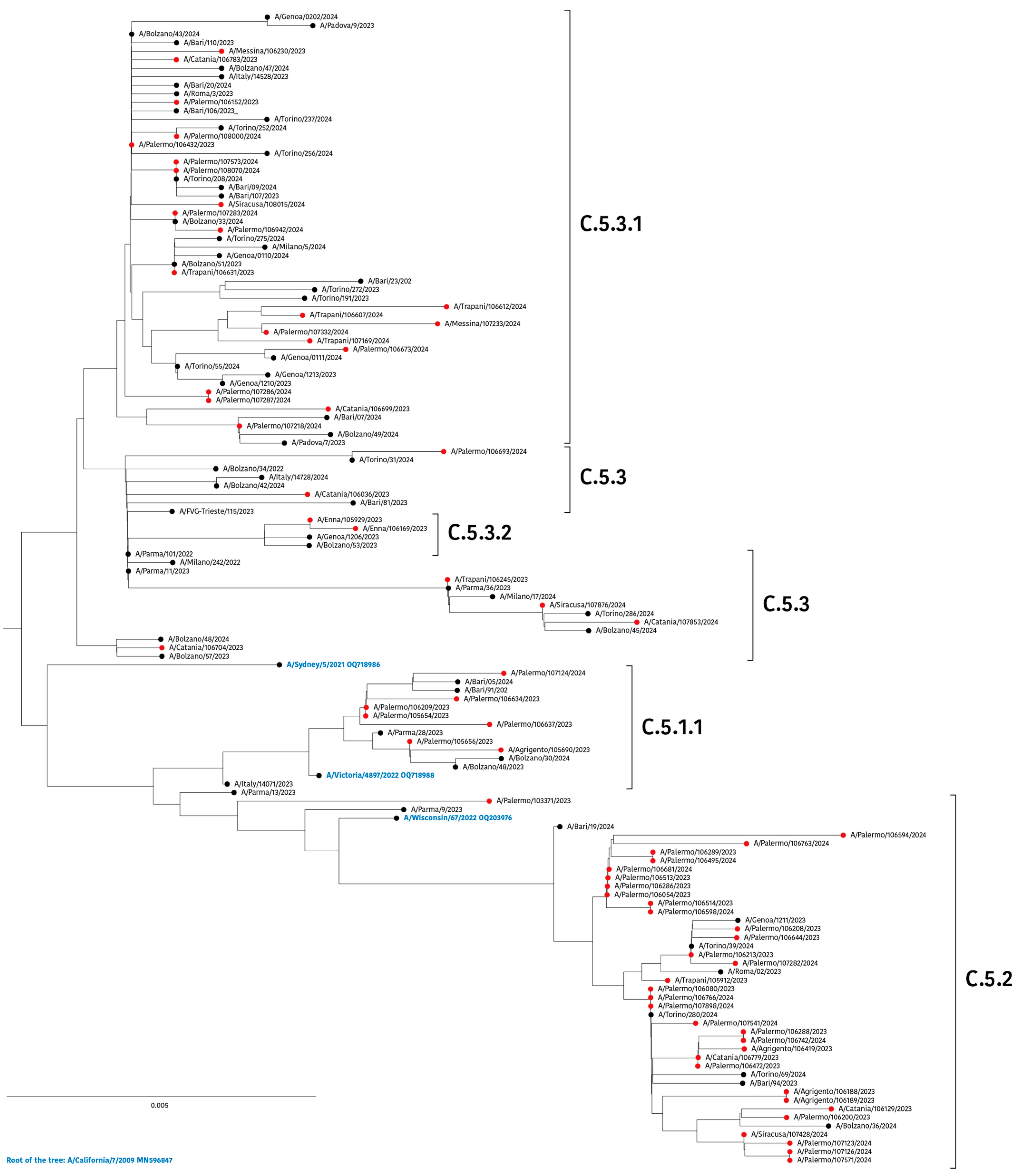 Viruses 16 01644 g003 Viruses 16 01644 g003
