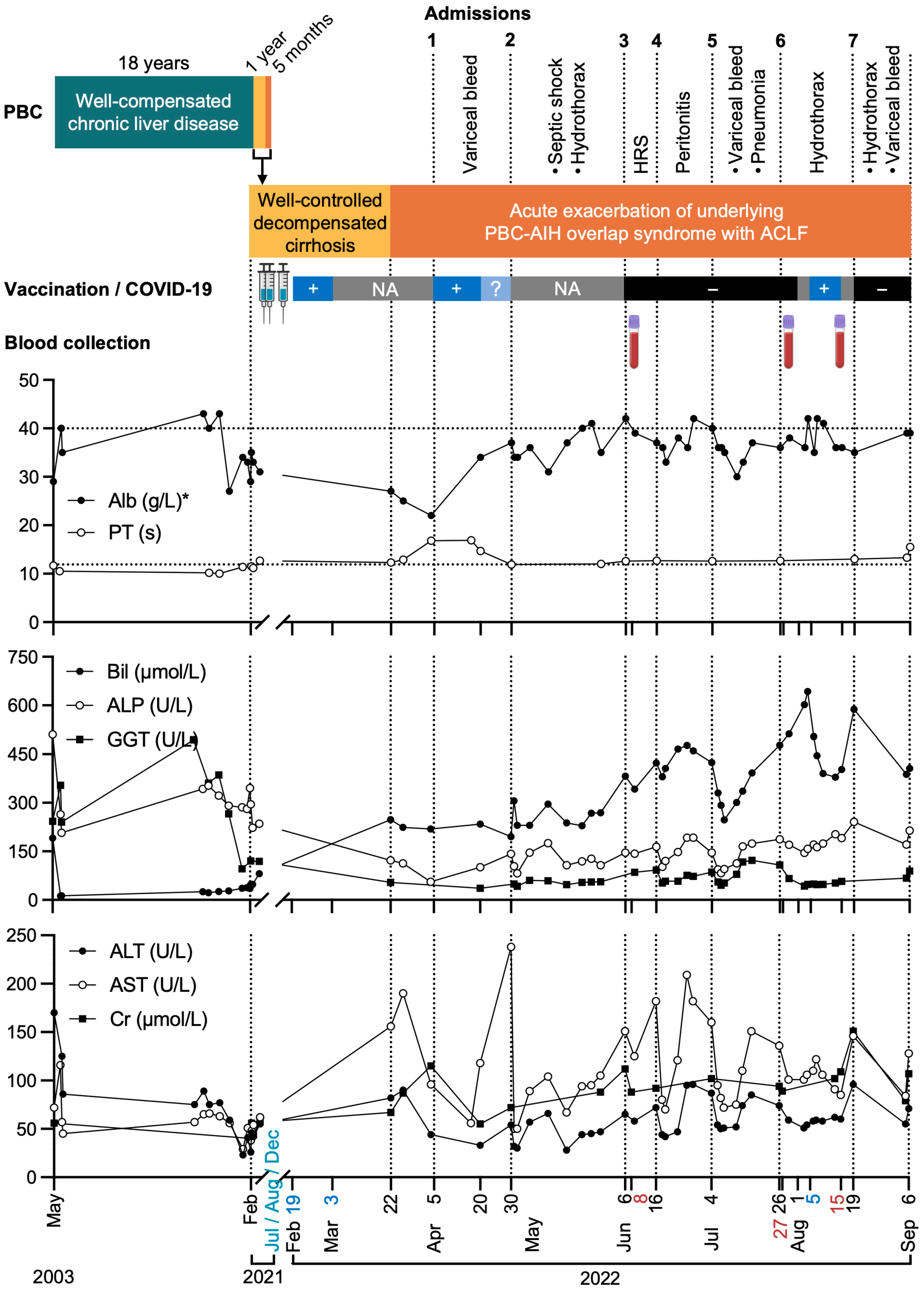 Viruses 16 01646 g001