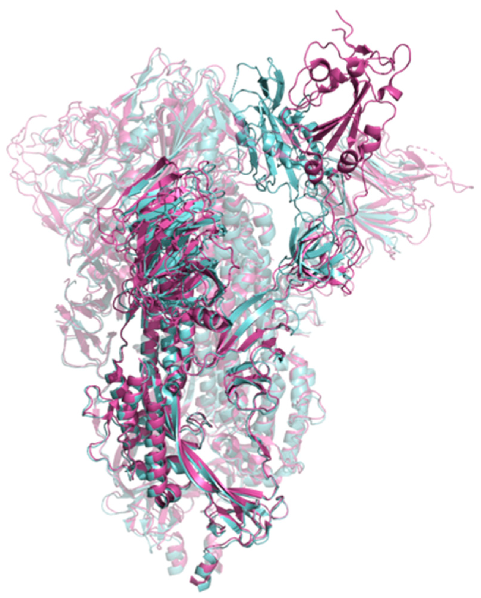 Viruses 16 01647 g001