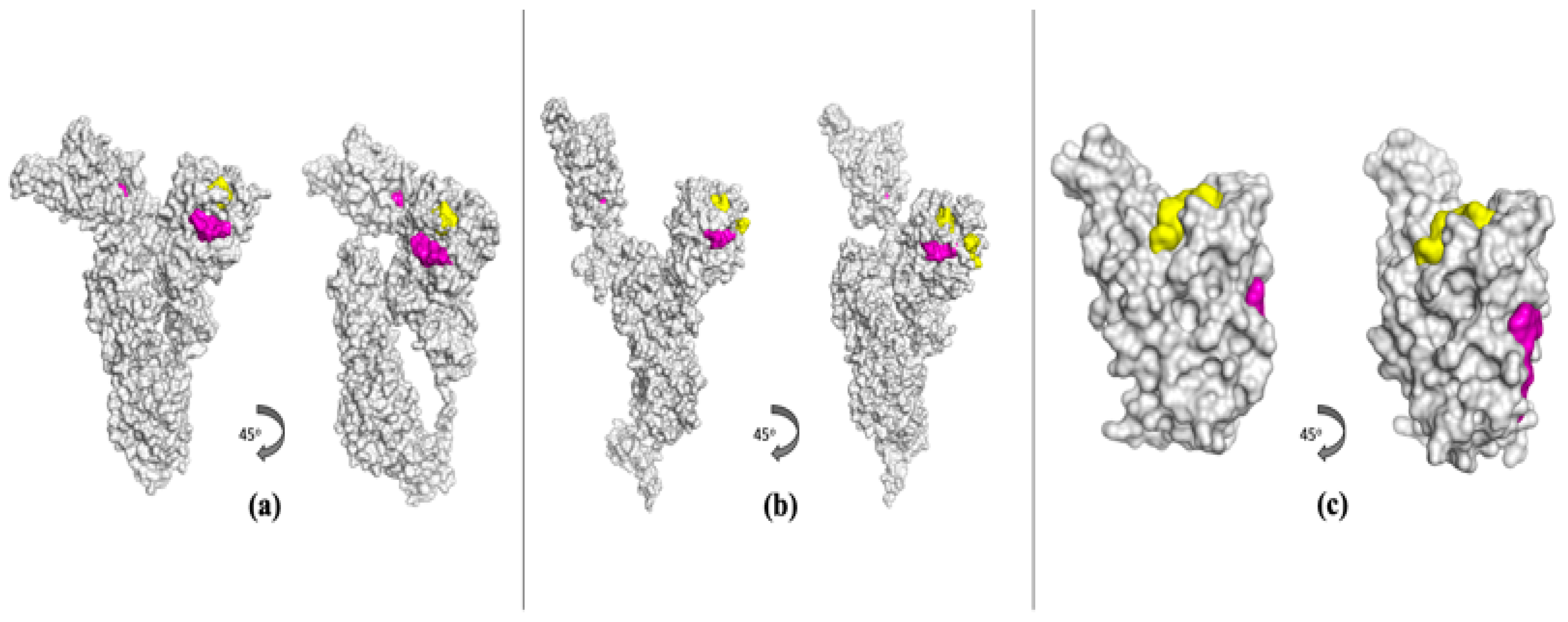Viruses 16 01647 g003
