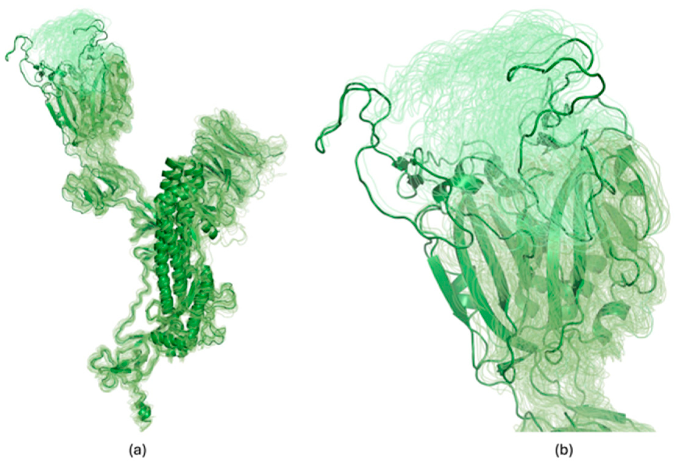 Viruses 16 01647 g004