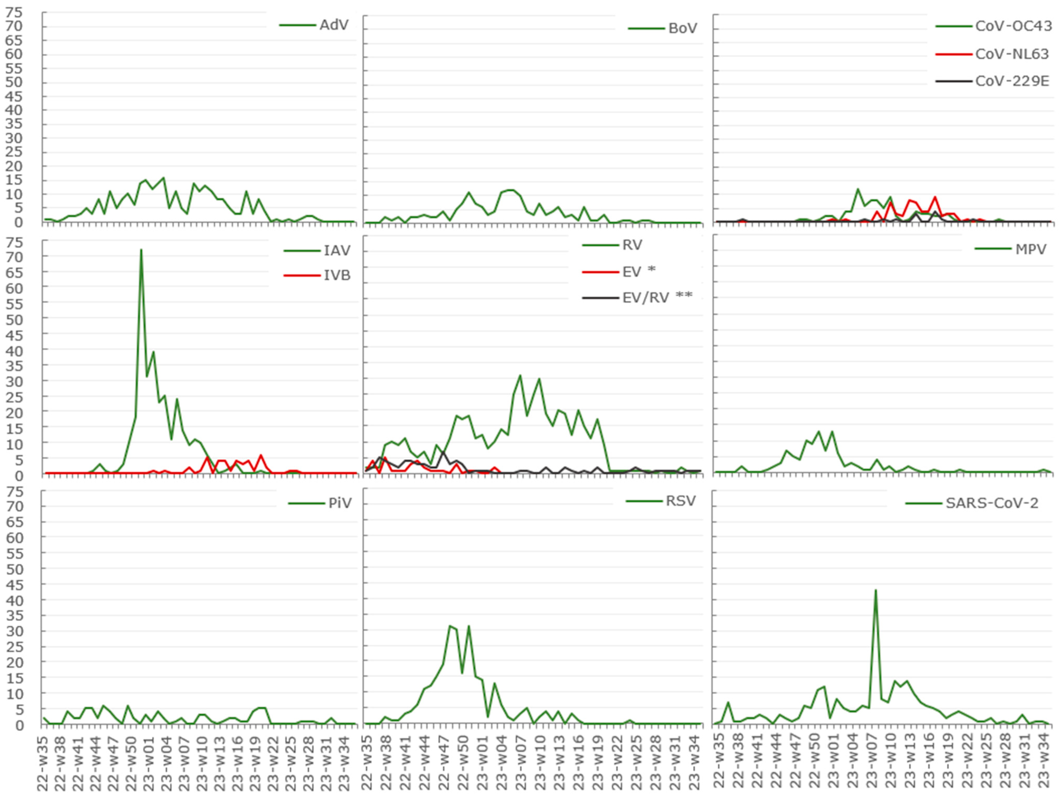 Viruses 16 01650 g001