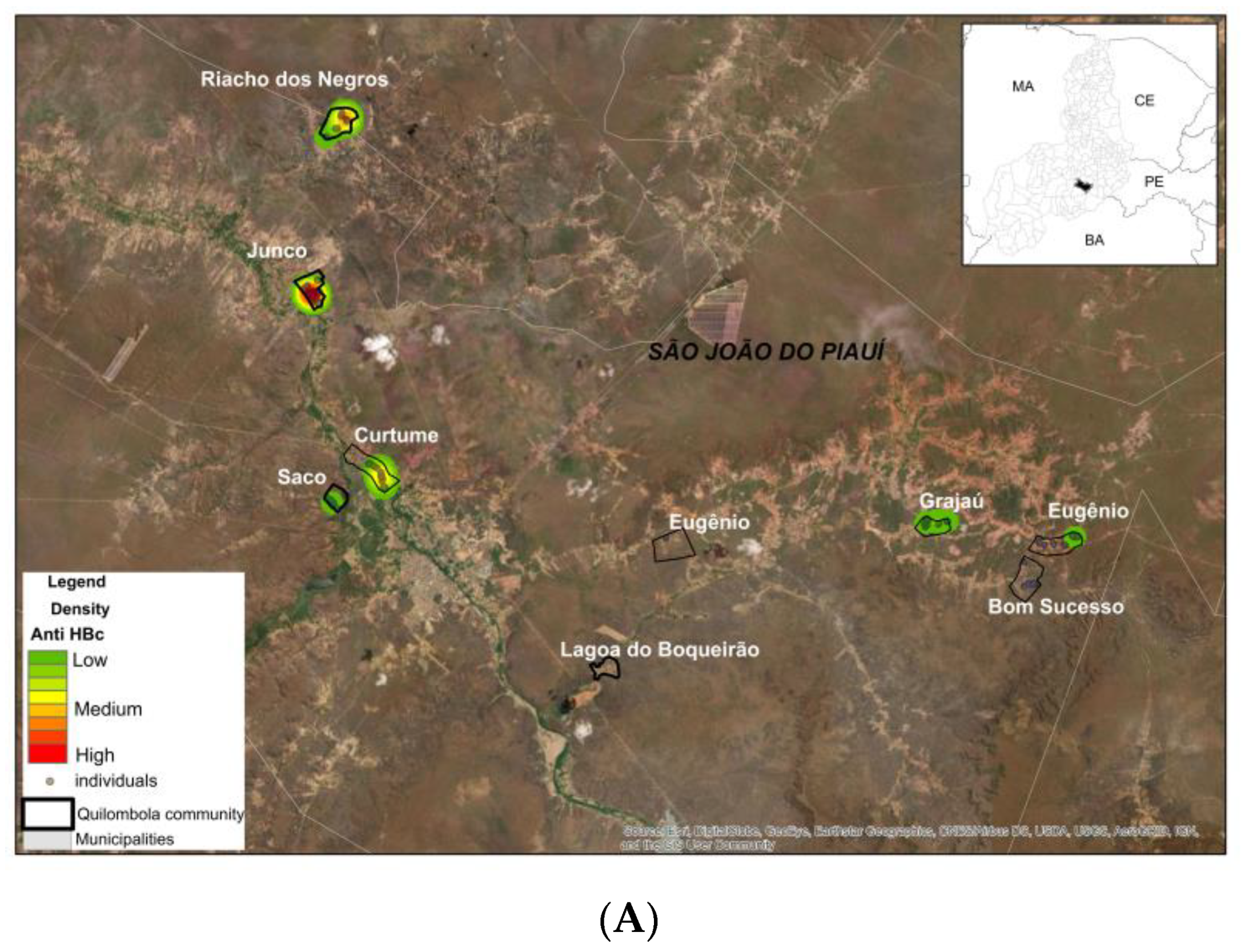 Viruses 16 01652 g003a
