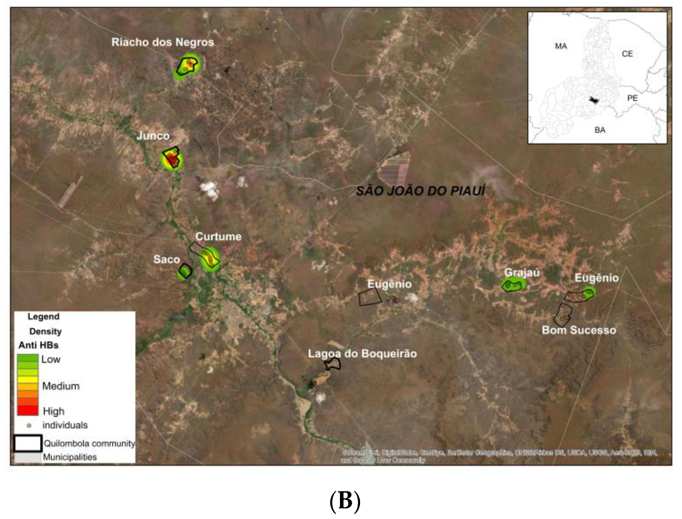 Viruses 16 01652 g003b