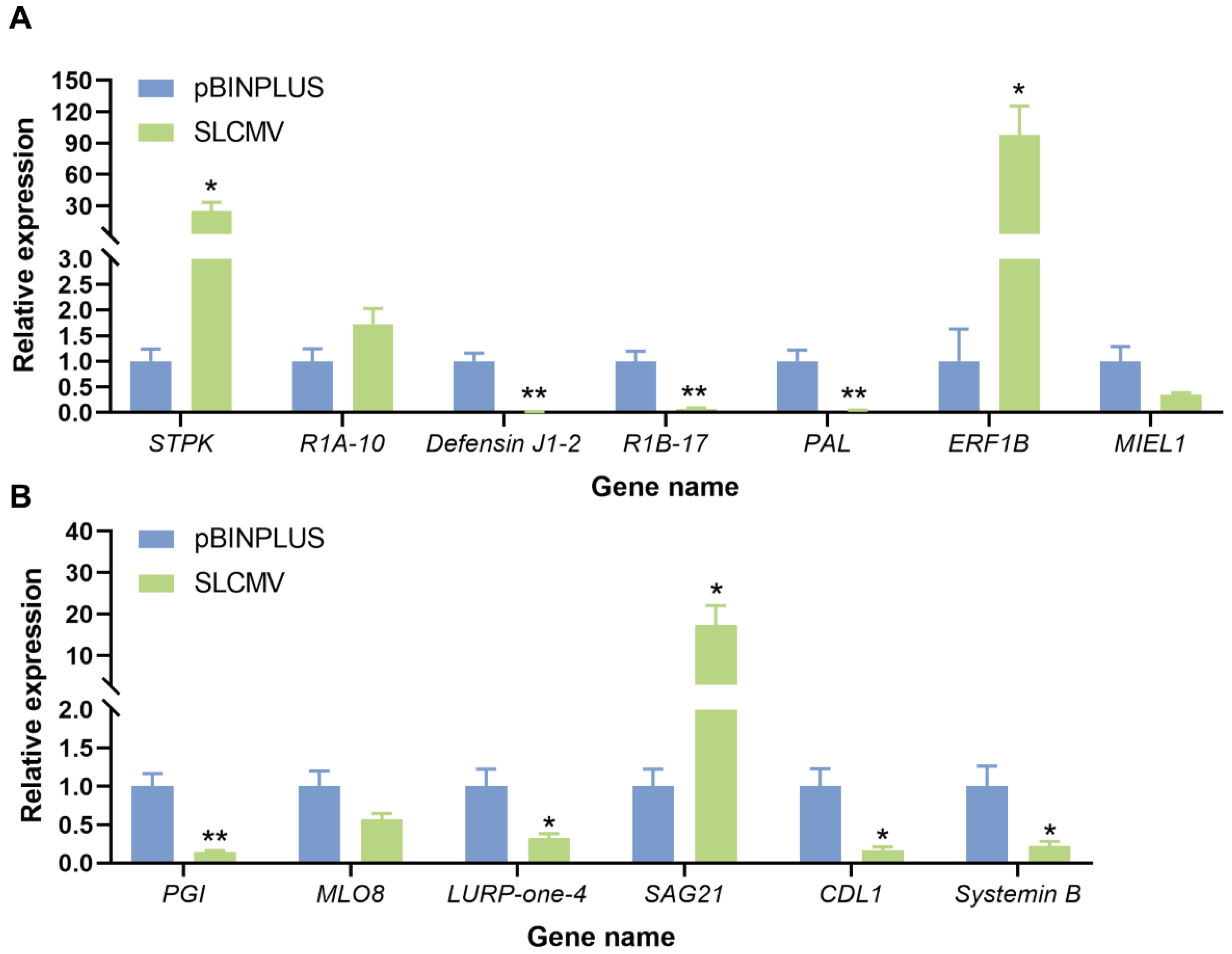 Viruses 16 01654 g005