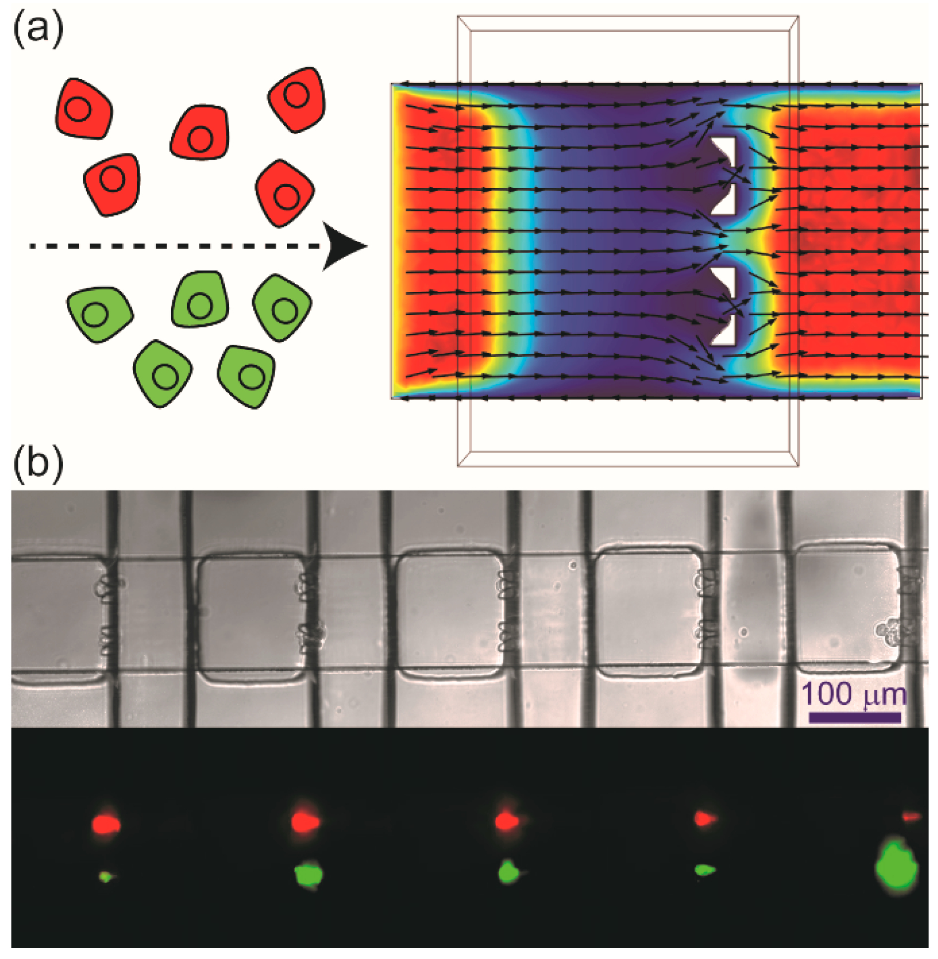 Viruses 16 01659 g001