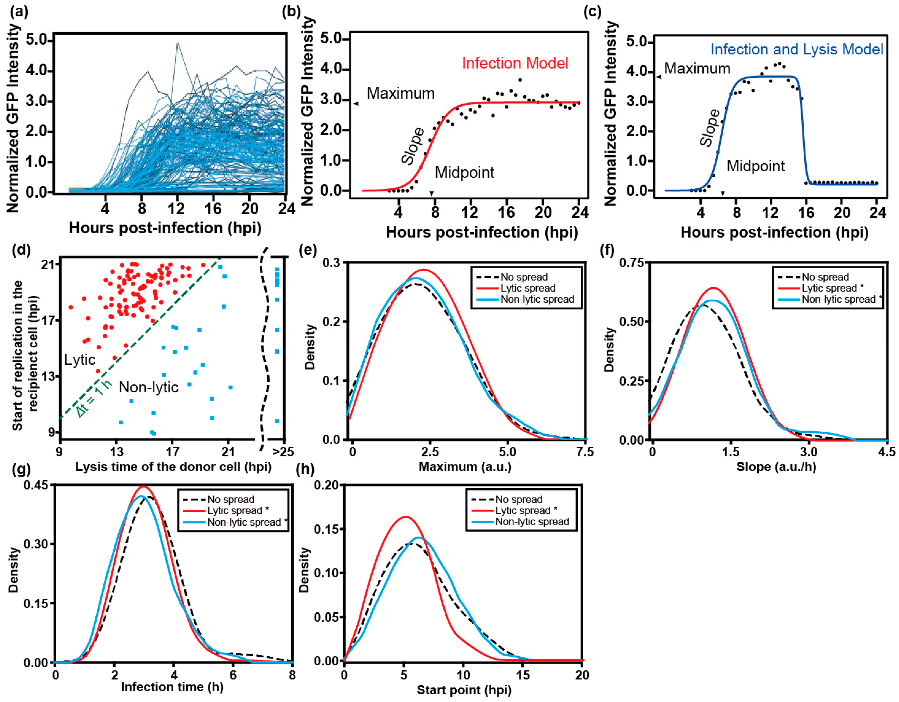 Viruses 16 01659 g003