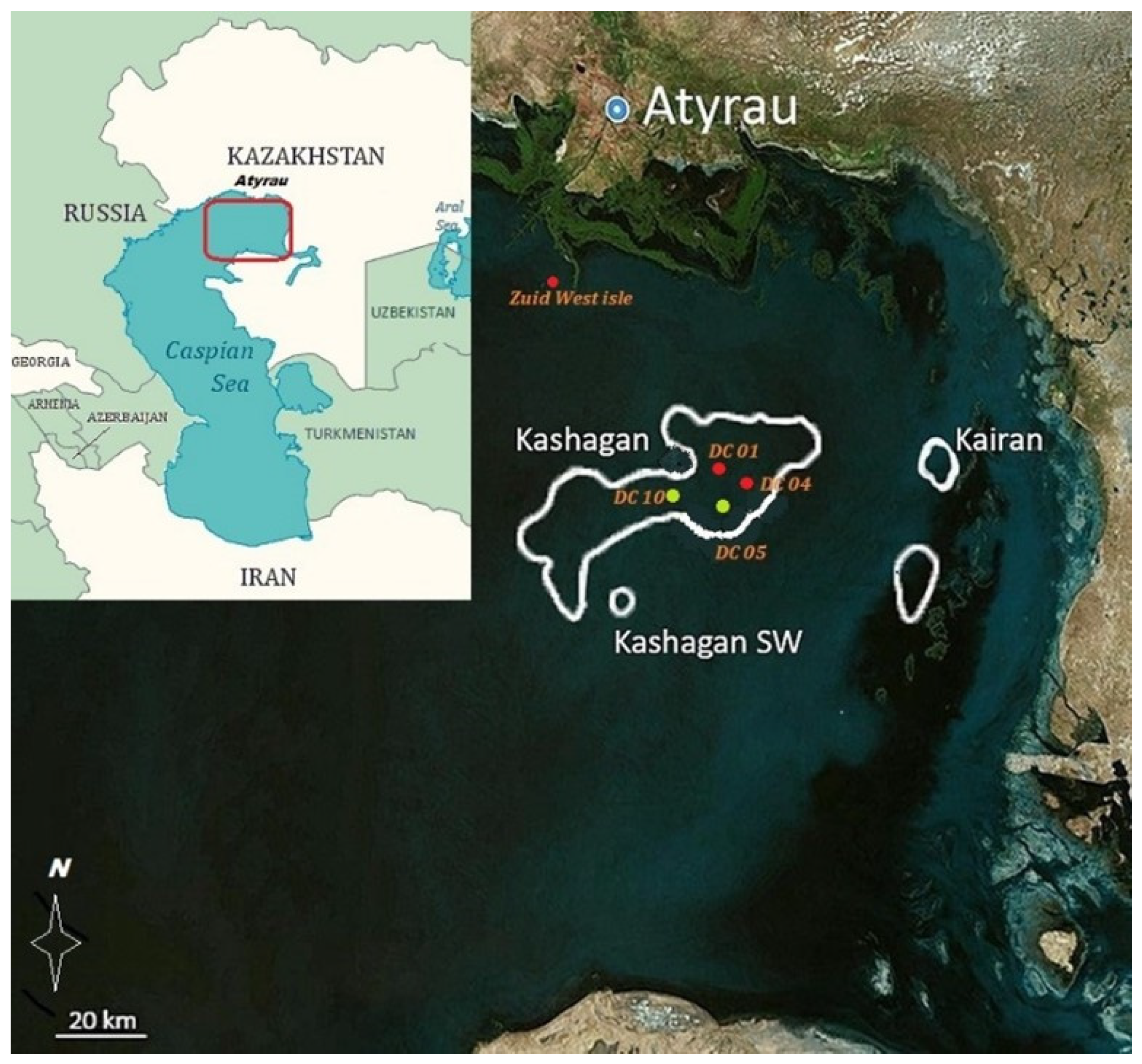 Viruses 16 01661 g001