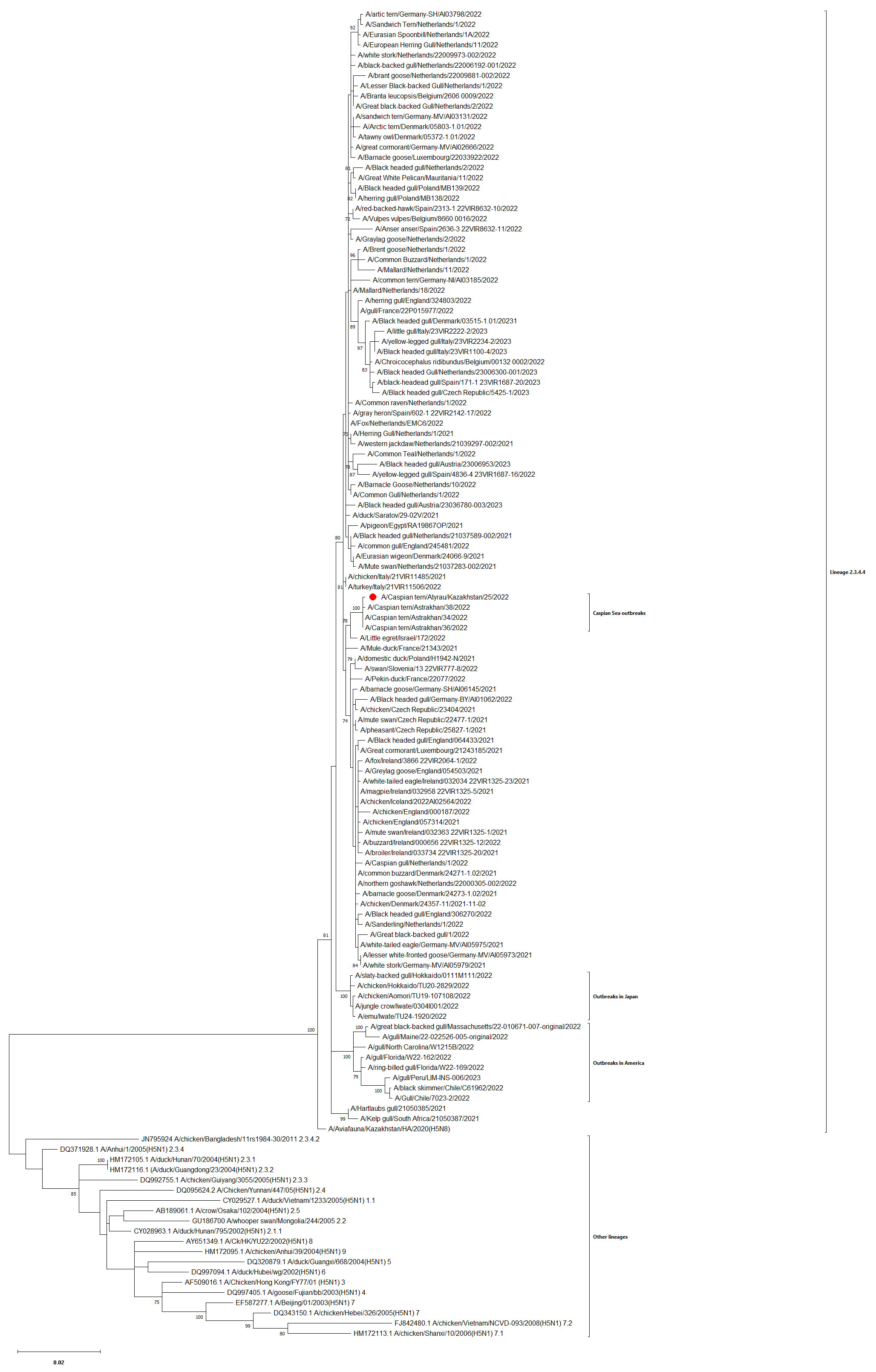 Viruses 16 01661 g004