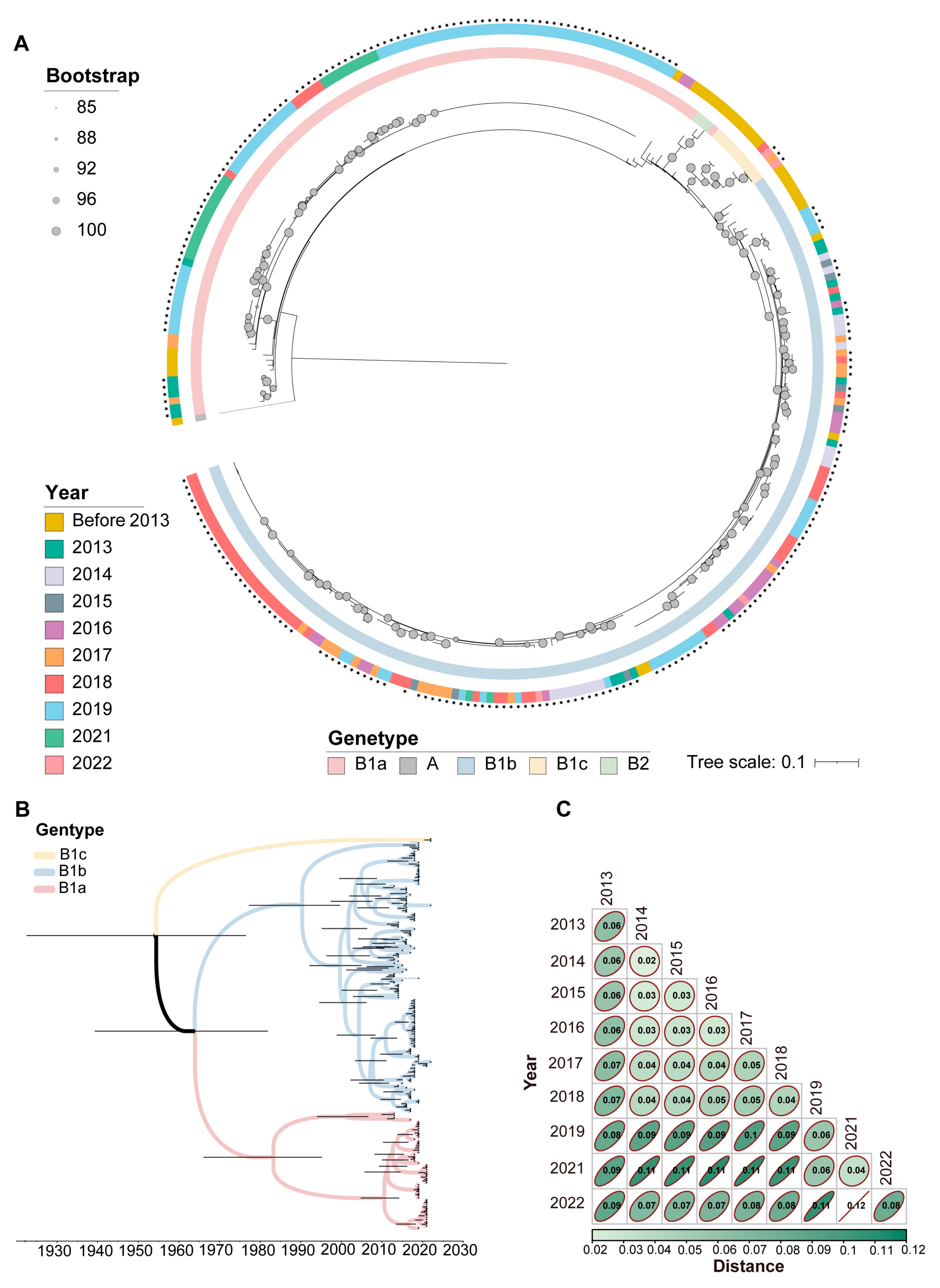 Viruses 16 01666 g005 Viruses 16 01666 g005