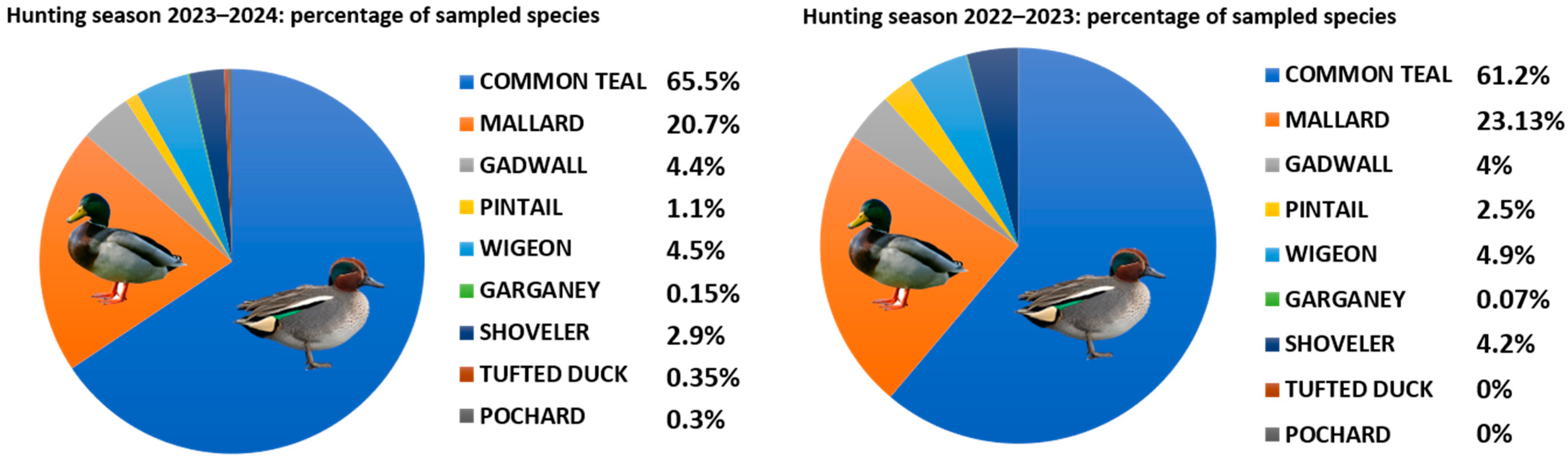 Viruses 16 01668 g004