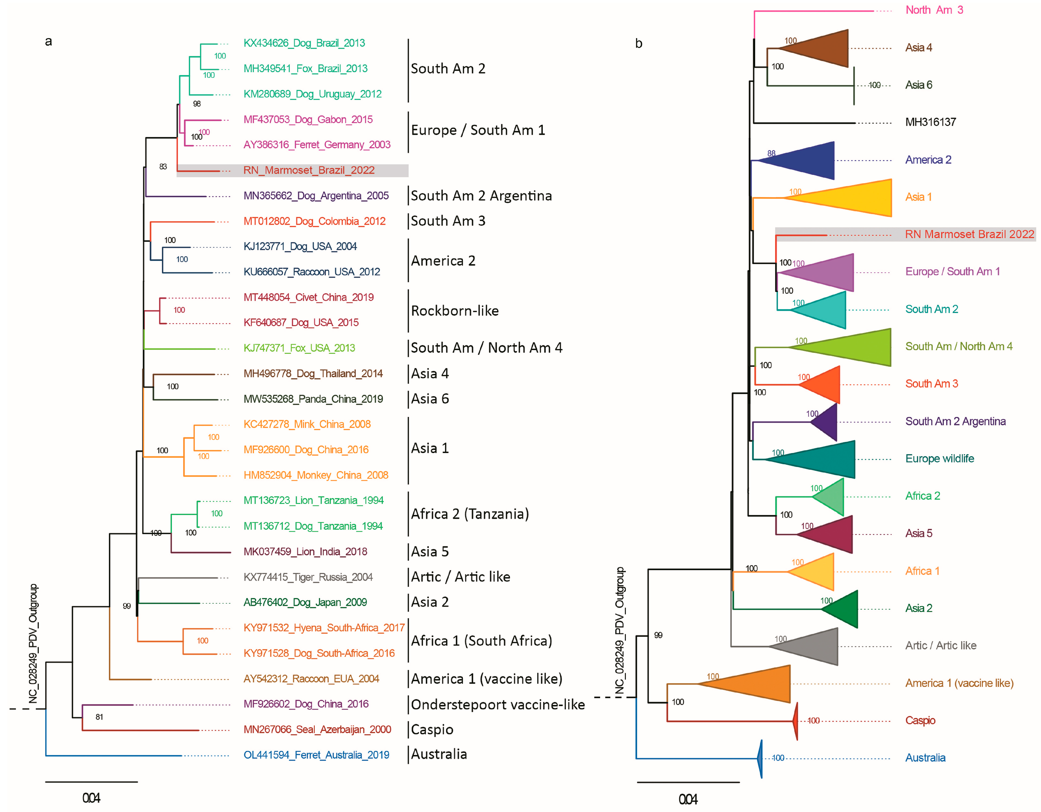 Viruses 16 01670 g002