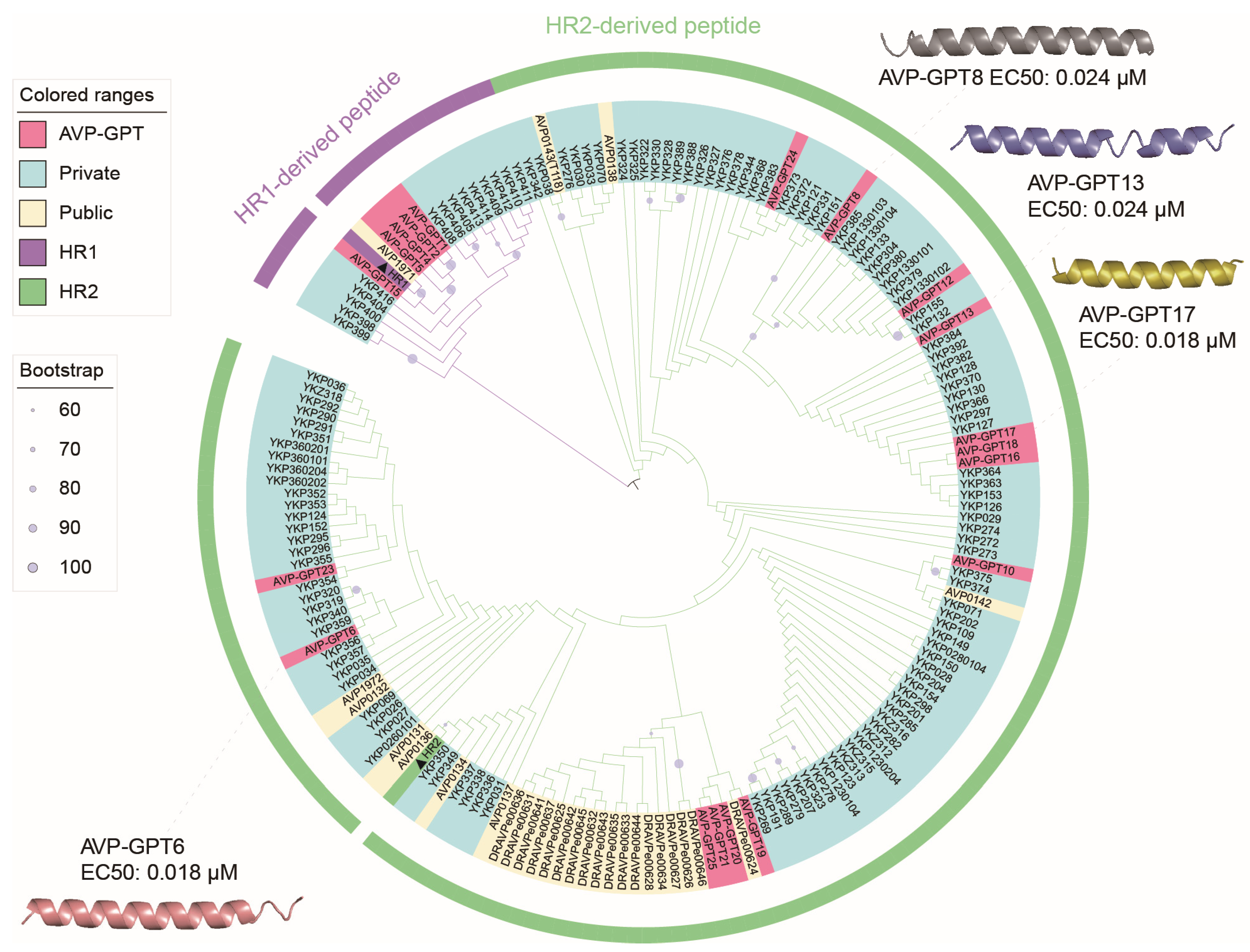 Viruses 16 01673 g006