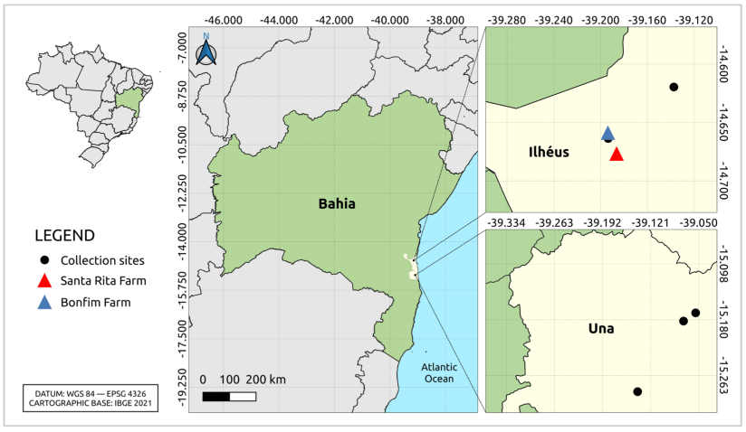 Viruses 16 01674 g001