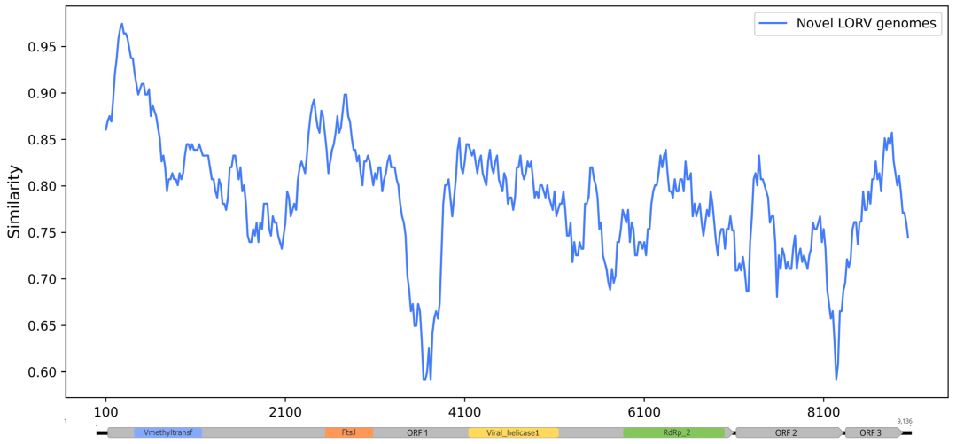 Viruses 16 01674 g002
