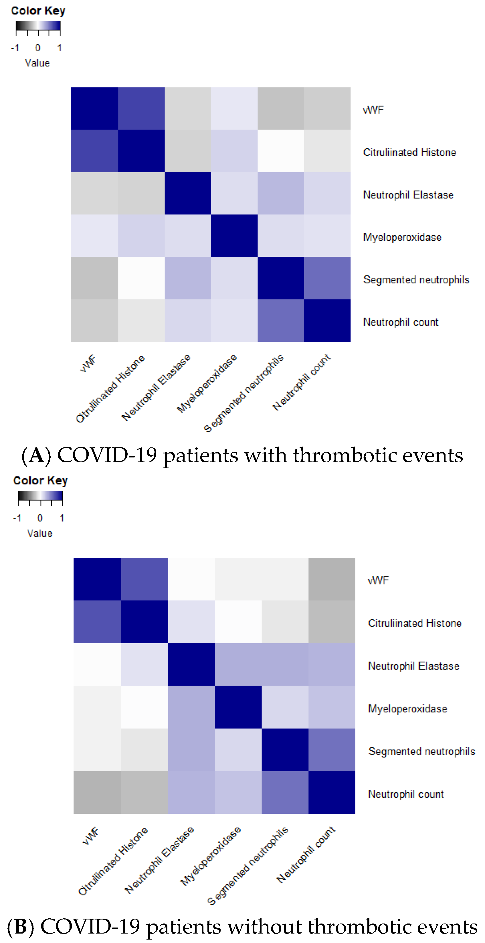 Viruses 16 01677 g001