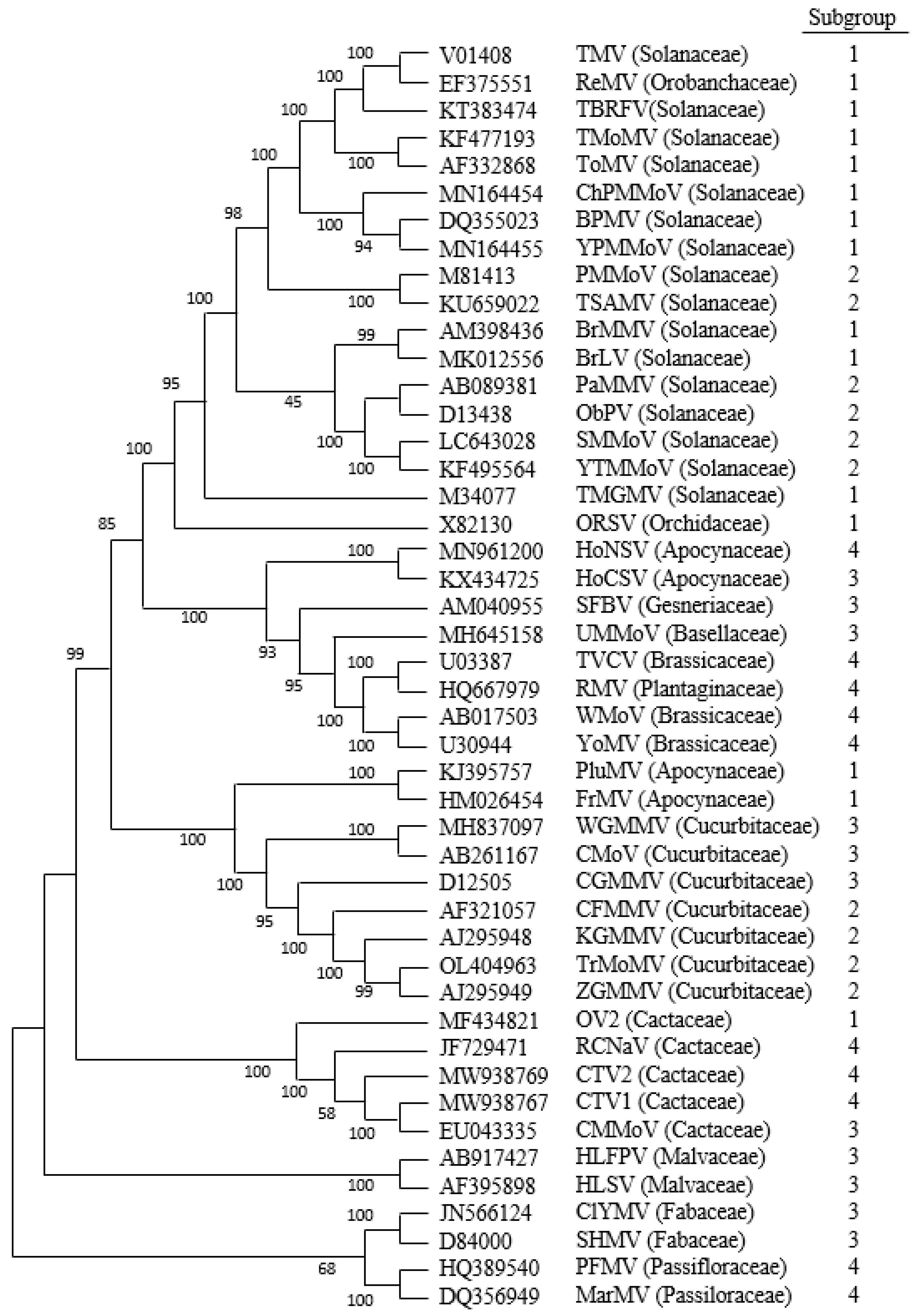 Viruses 16 01680 g005 Viruses 16 01680 g005