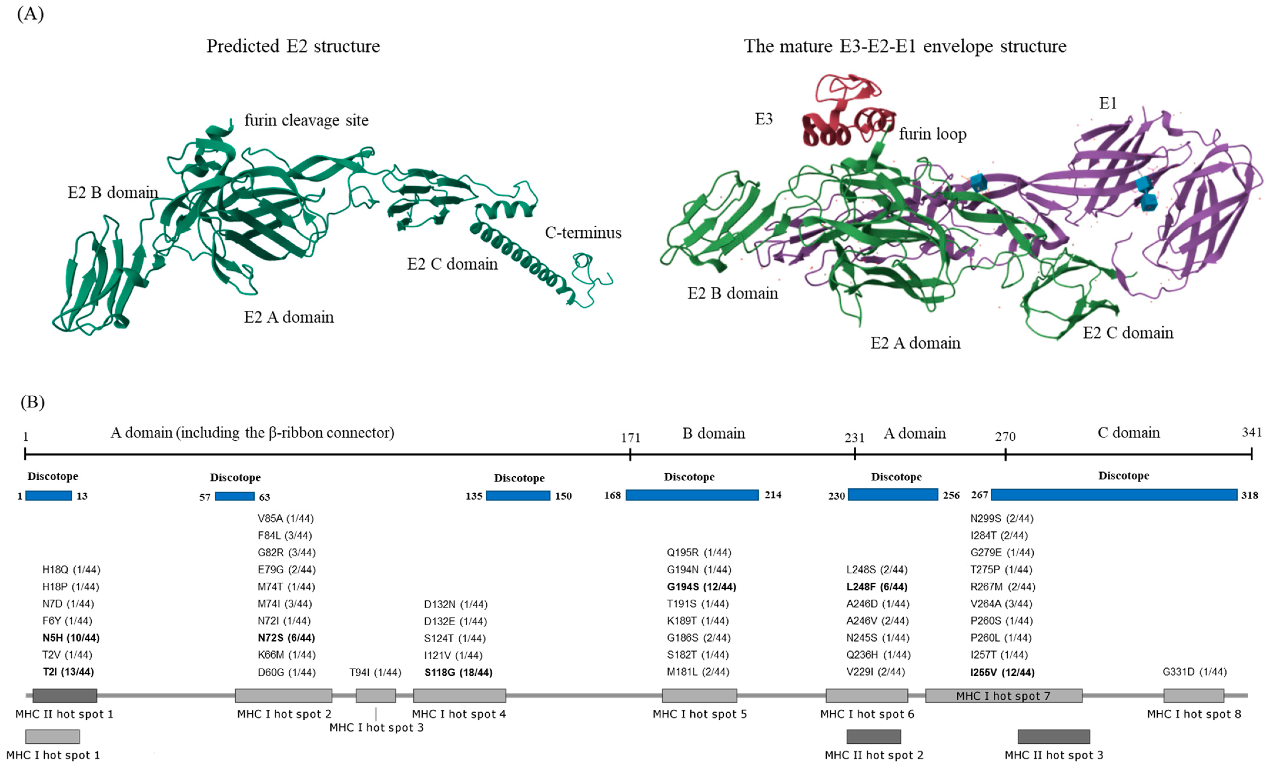 Viruses 16 01689 g003
