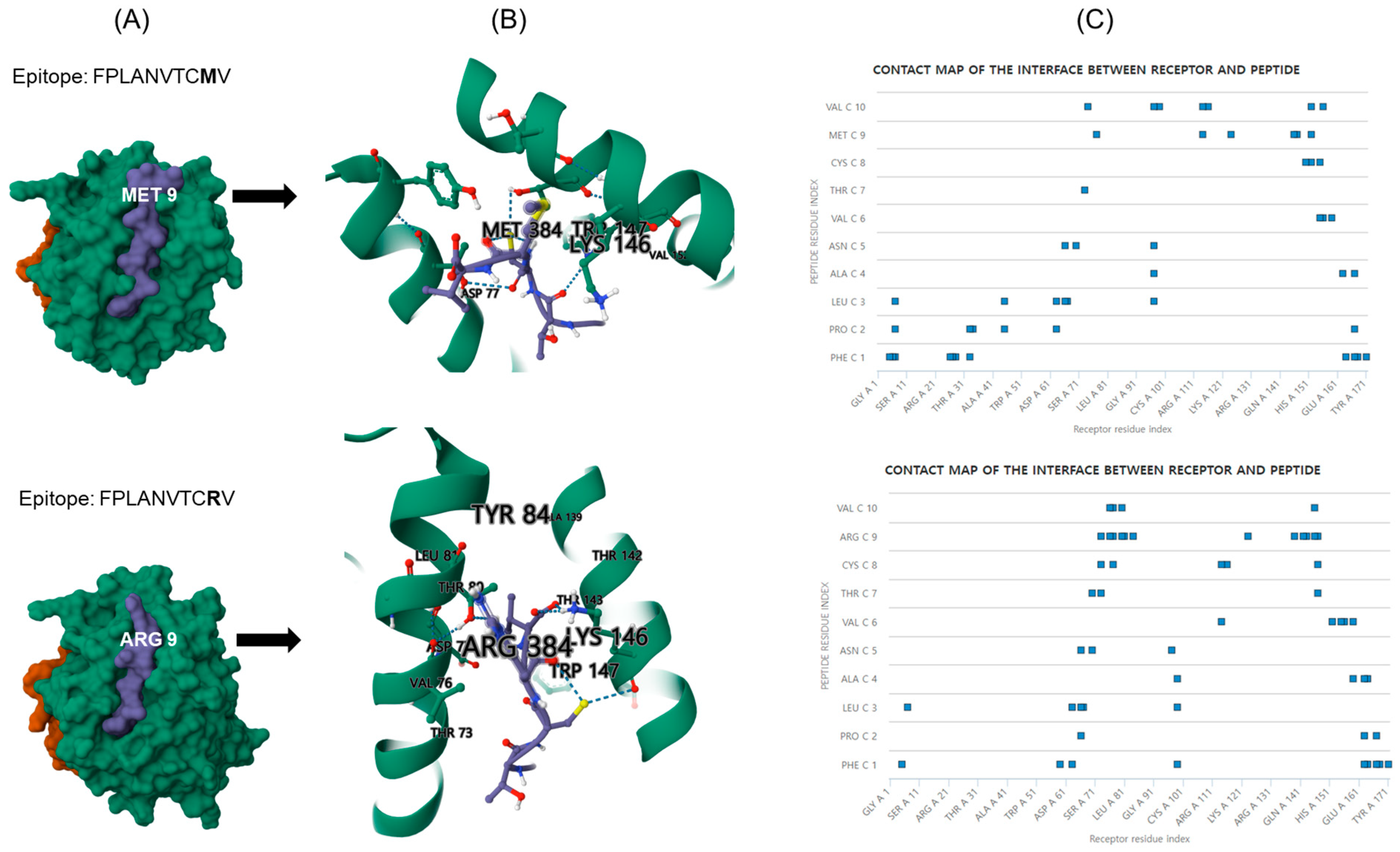 Viruses 16 01689 g004