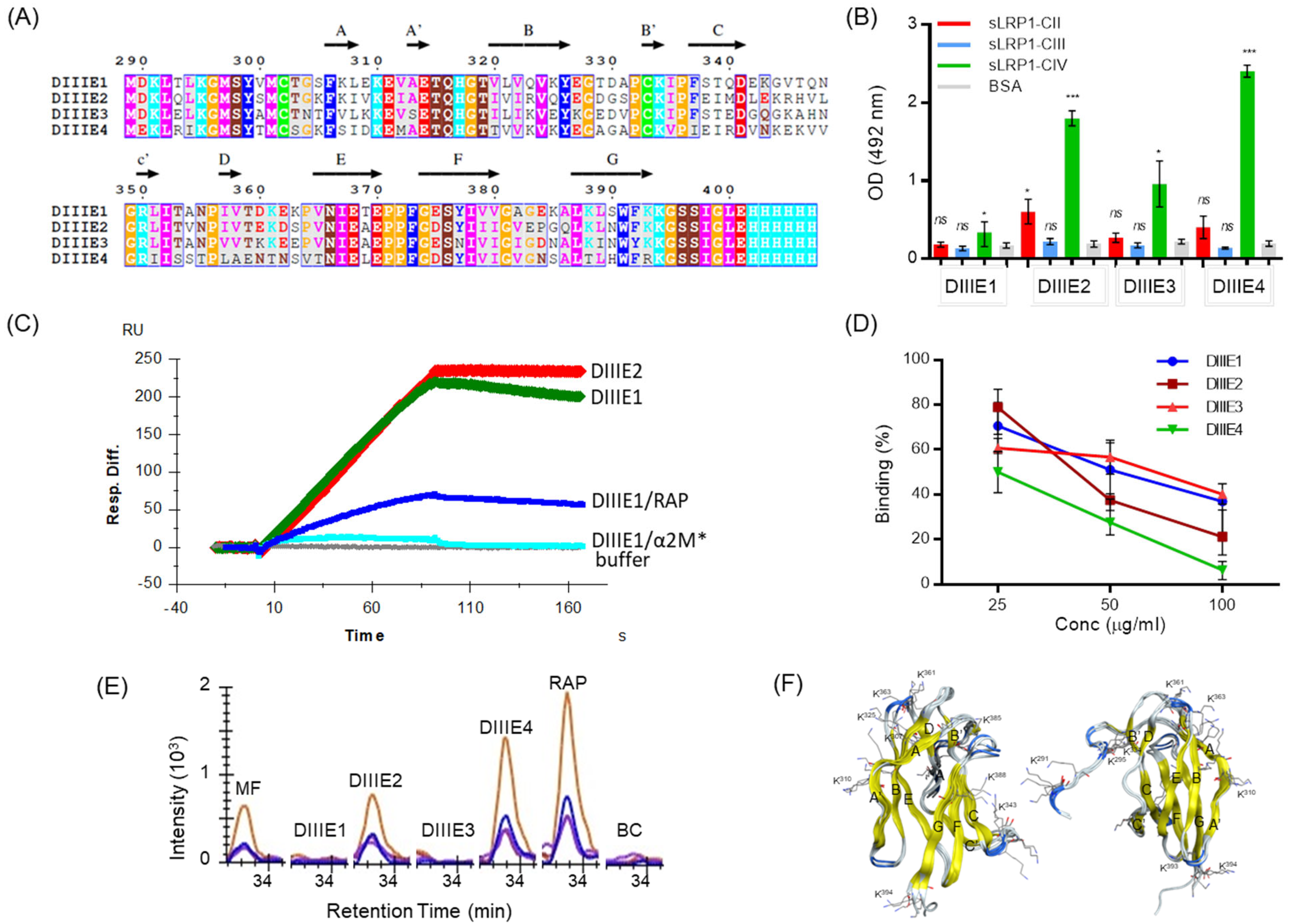 Viruses 16 01692 g004 Viruses 16 01692 g004