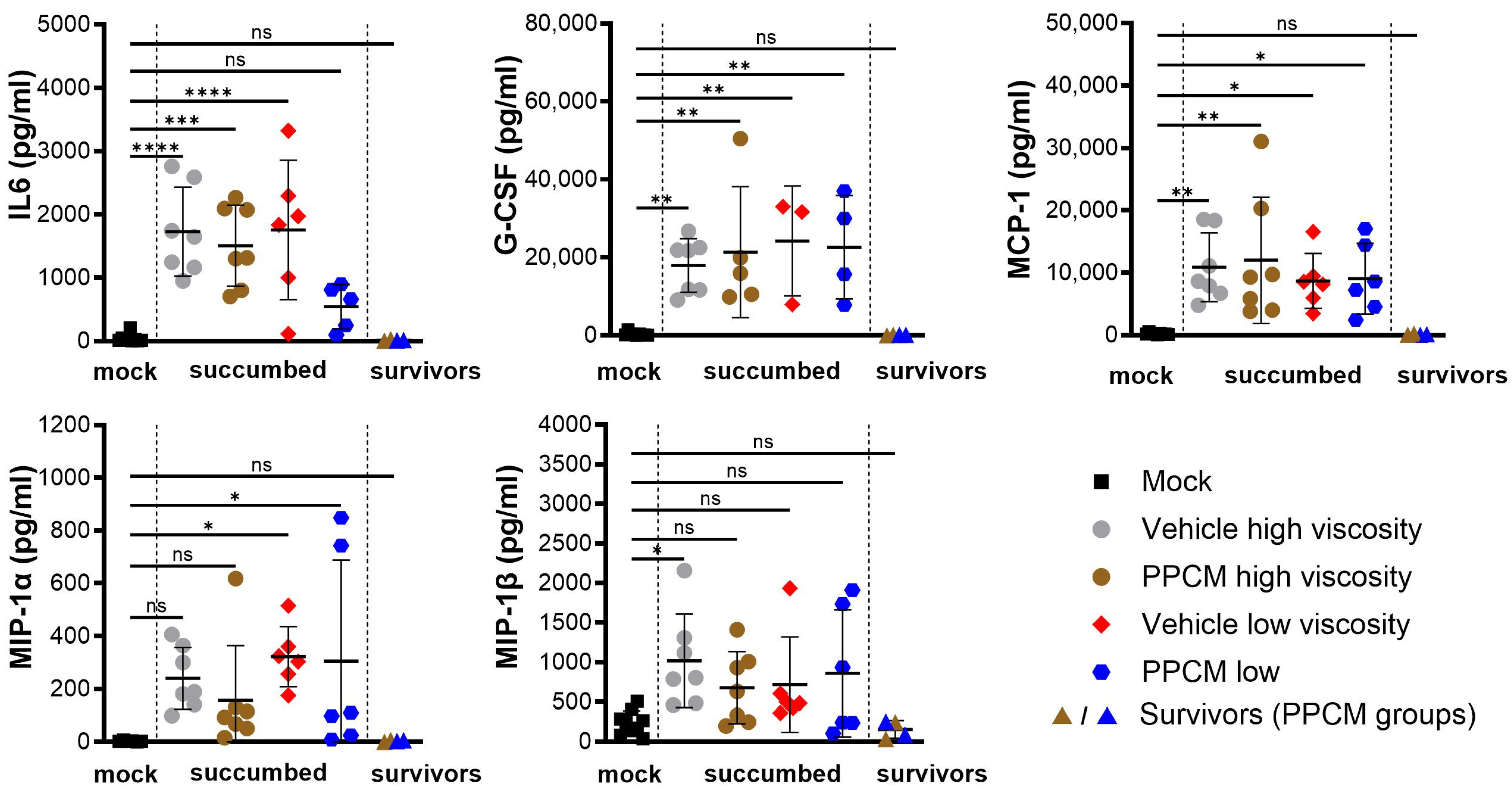Viruses 16 01693 g003
