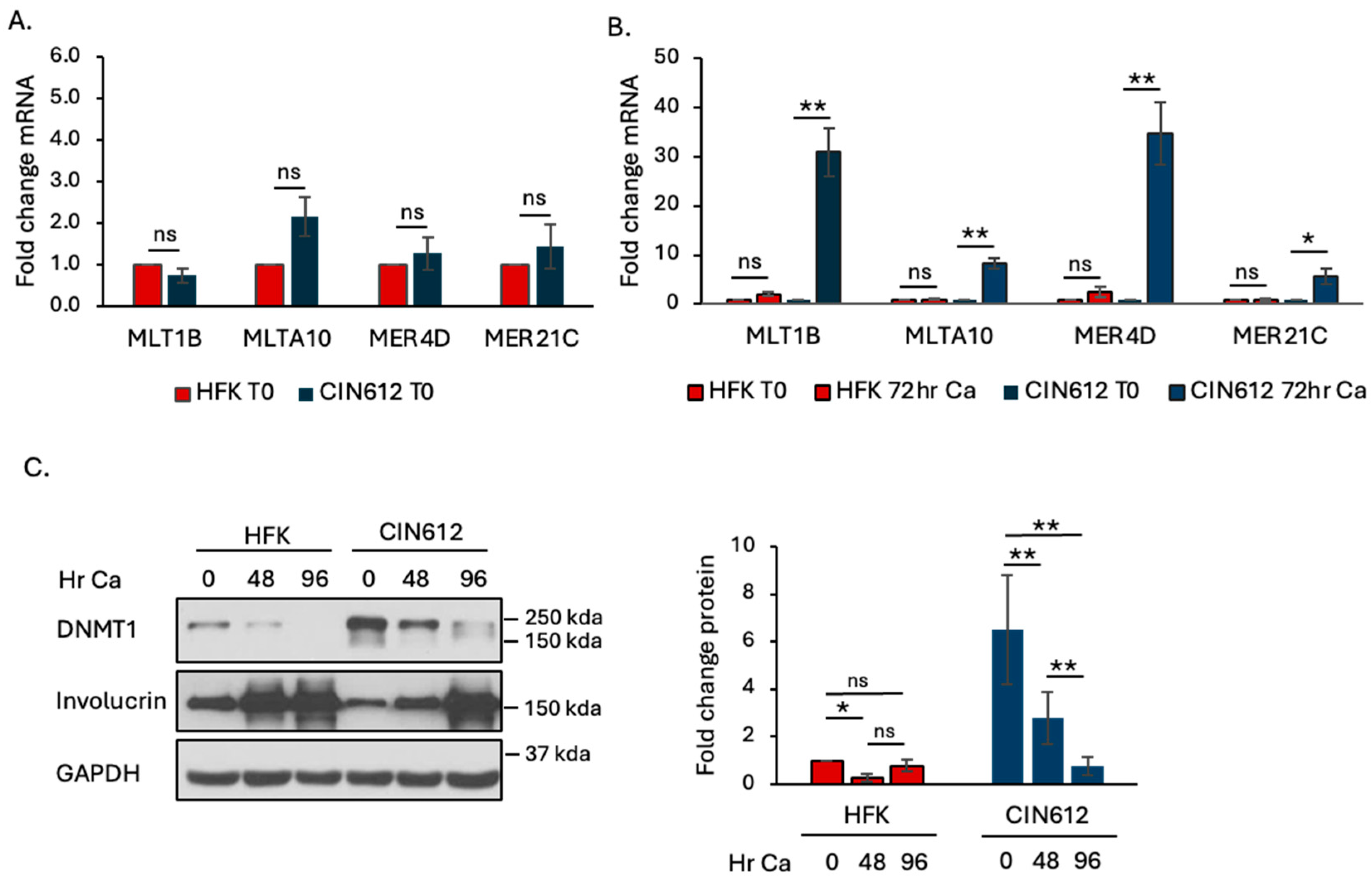 Viruses 16 01695 g001