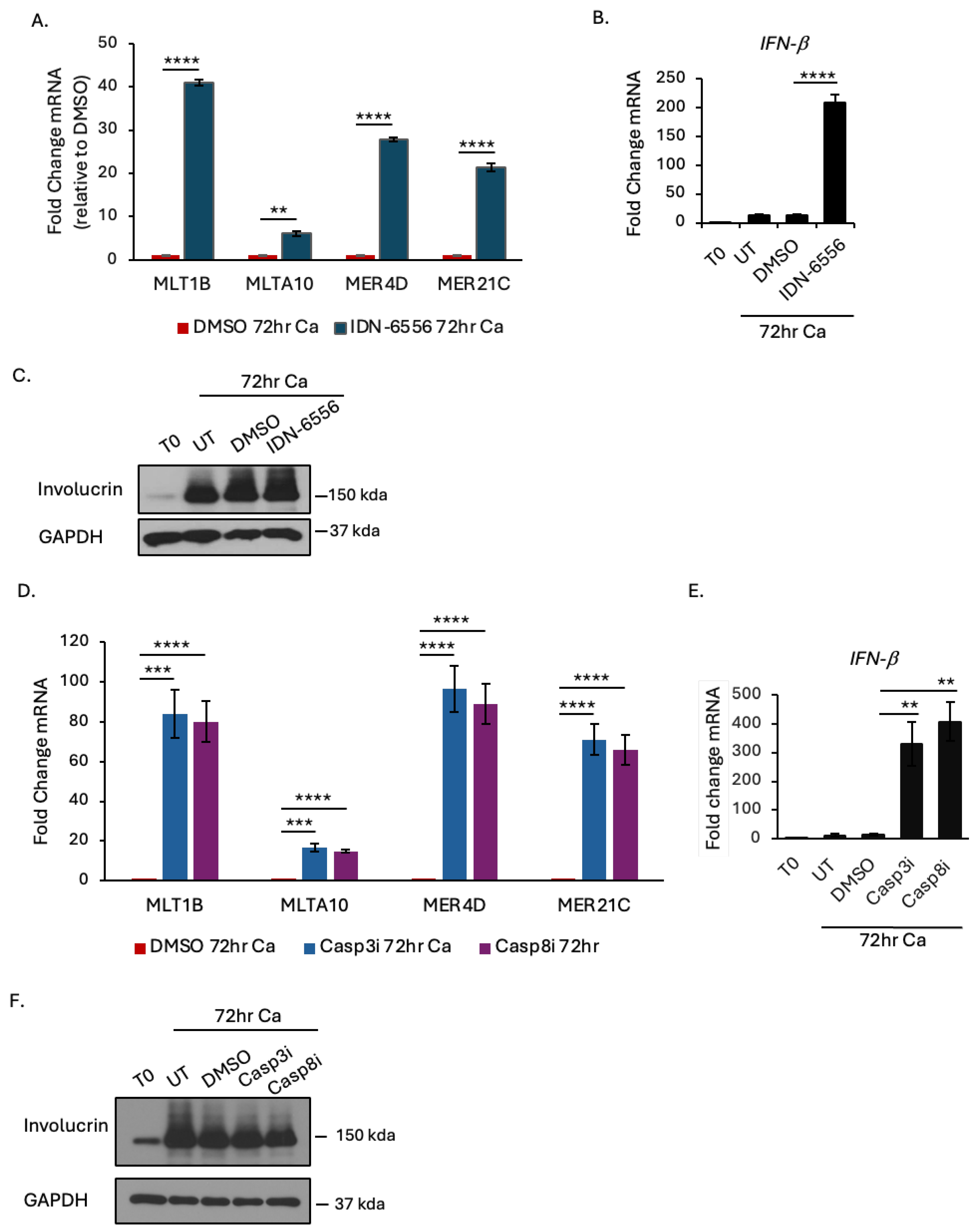 Viruses 16 01695 g002