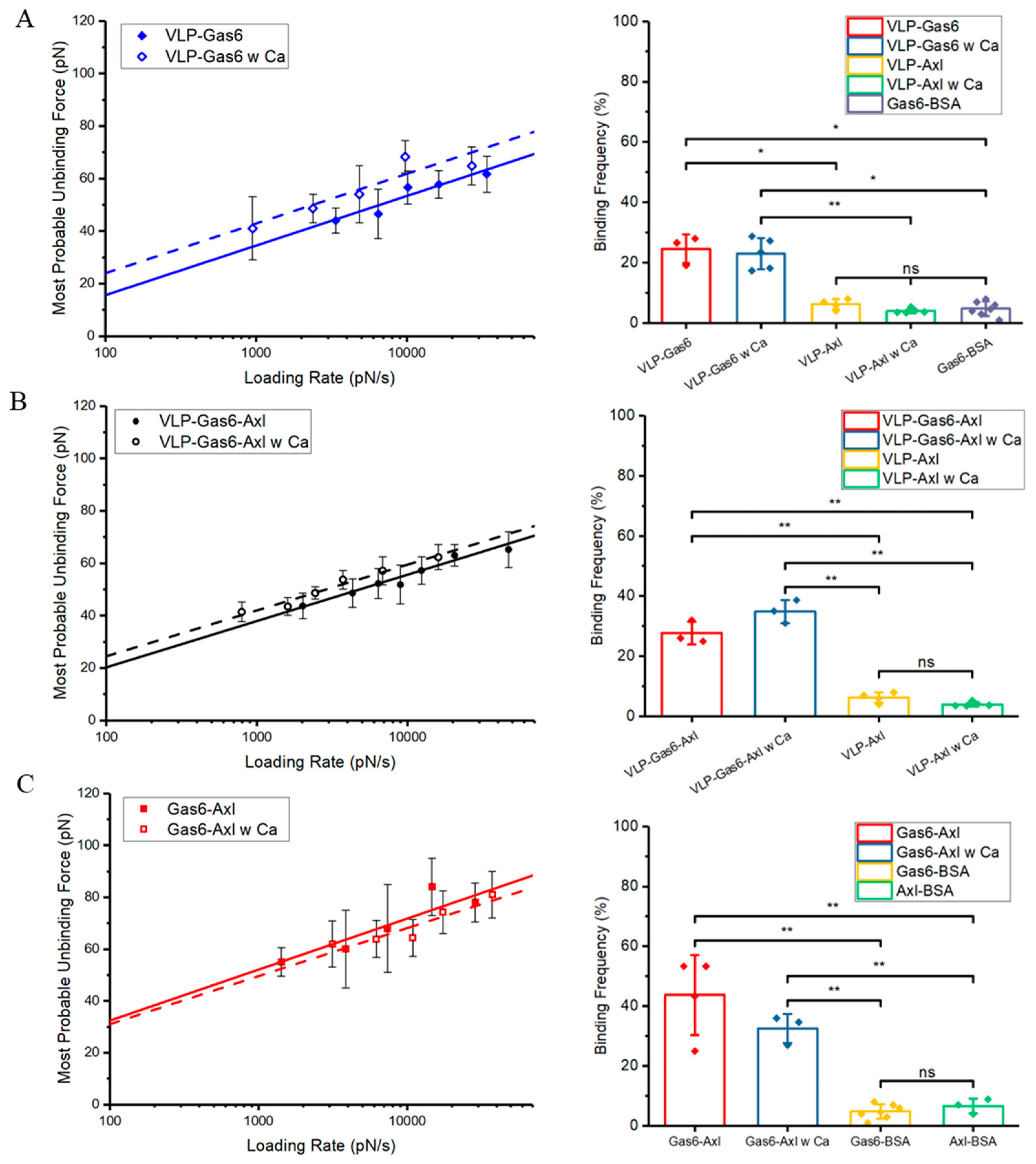 Viruses 16 01700 g003