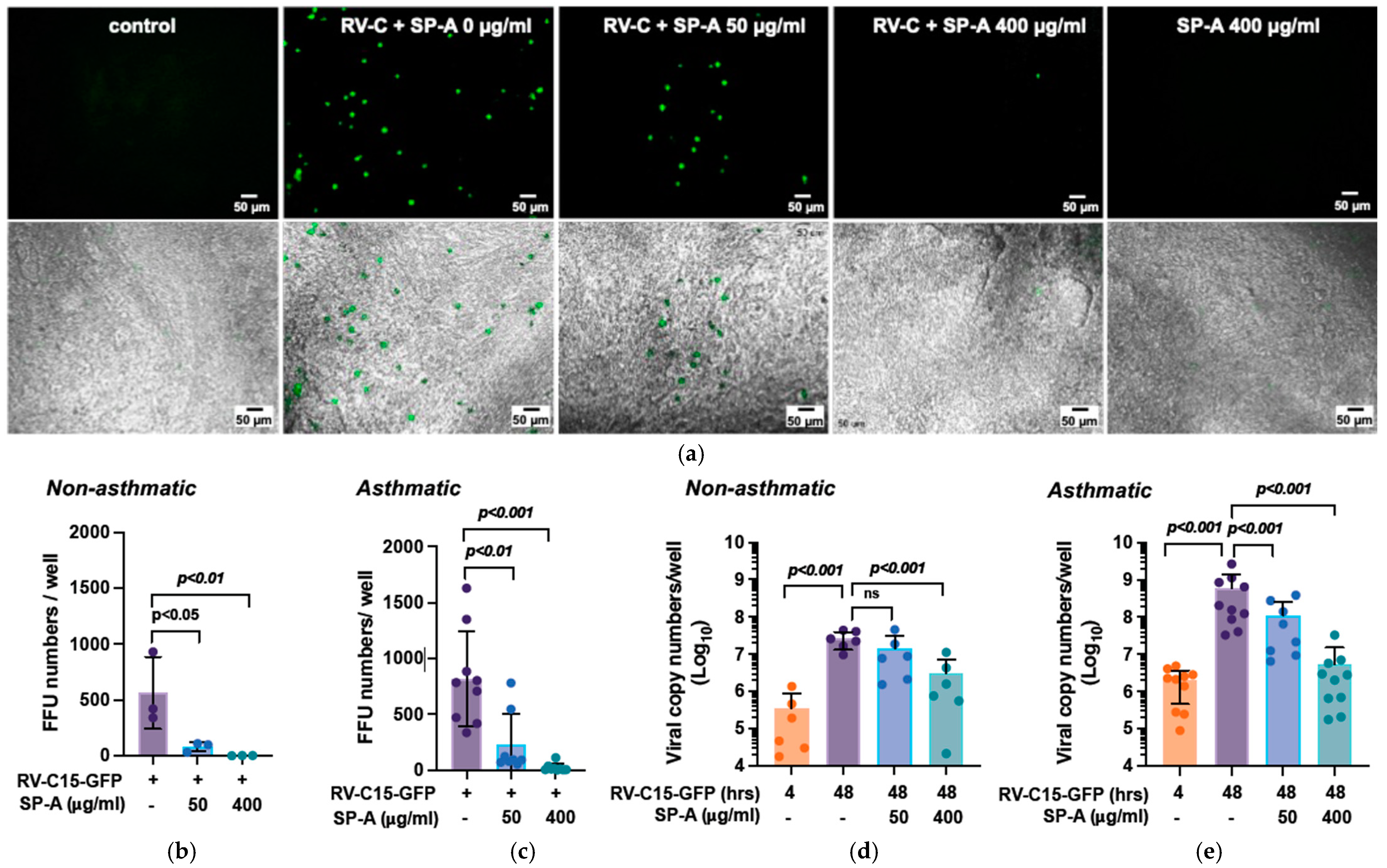 Viruses 16 01709 g001 Viruses 16 01709 g001