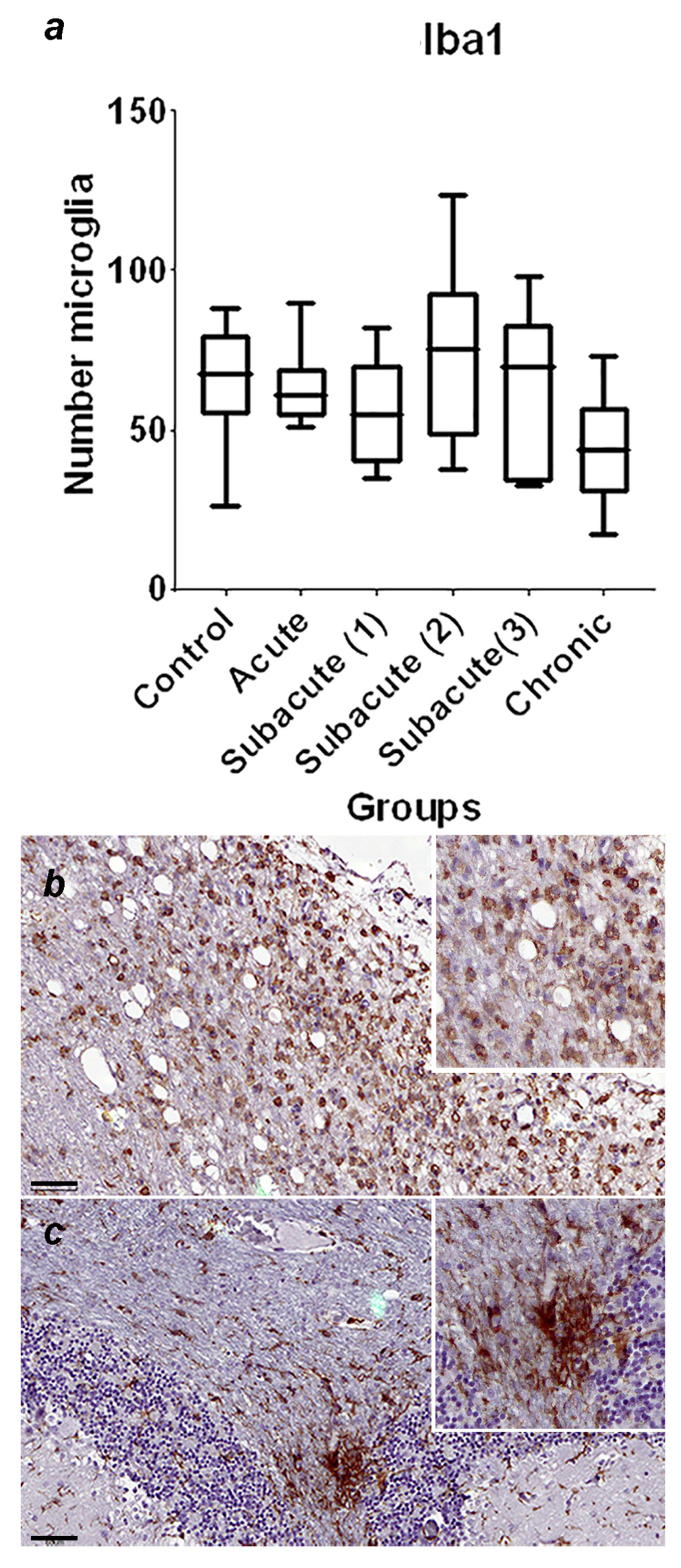 Viruses 16 01719 g002