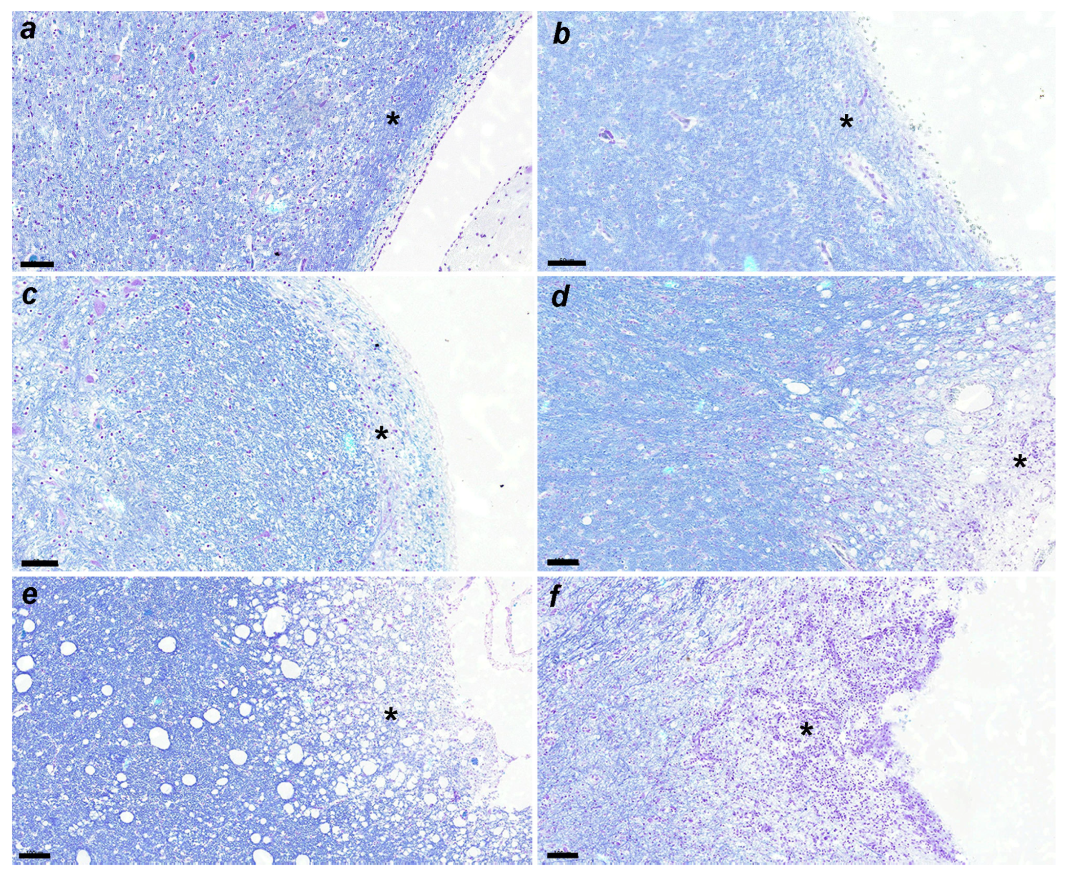 Viruses 16 01719 g004