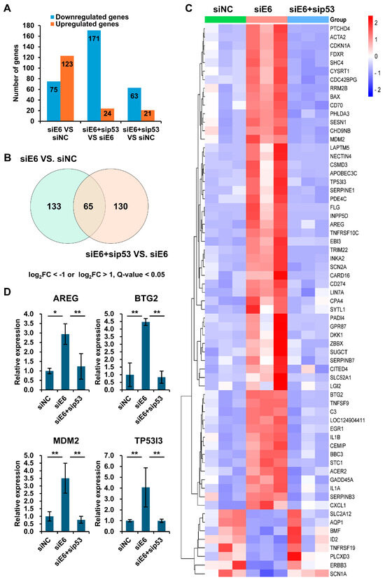 Genome-Wide Analysis of p53 Targets Reveals SCN2A as a Novel Player in ...