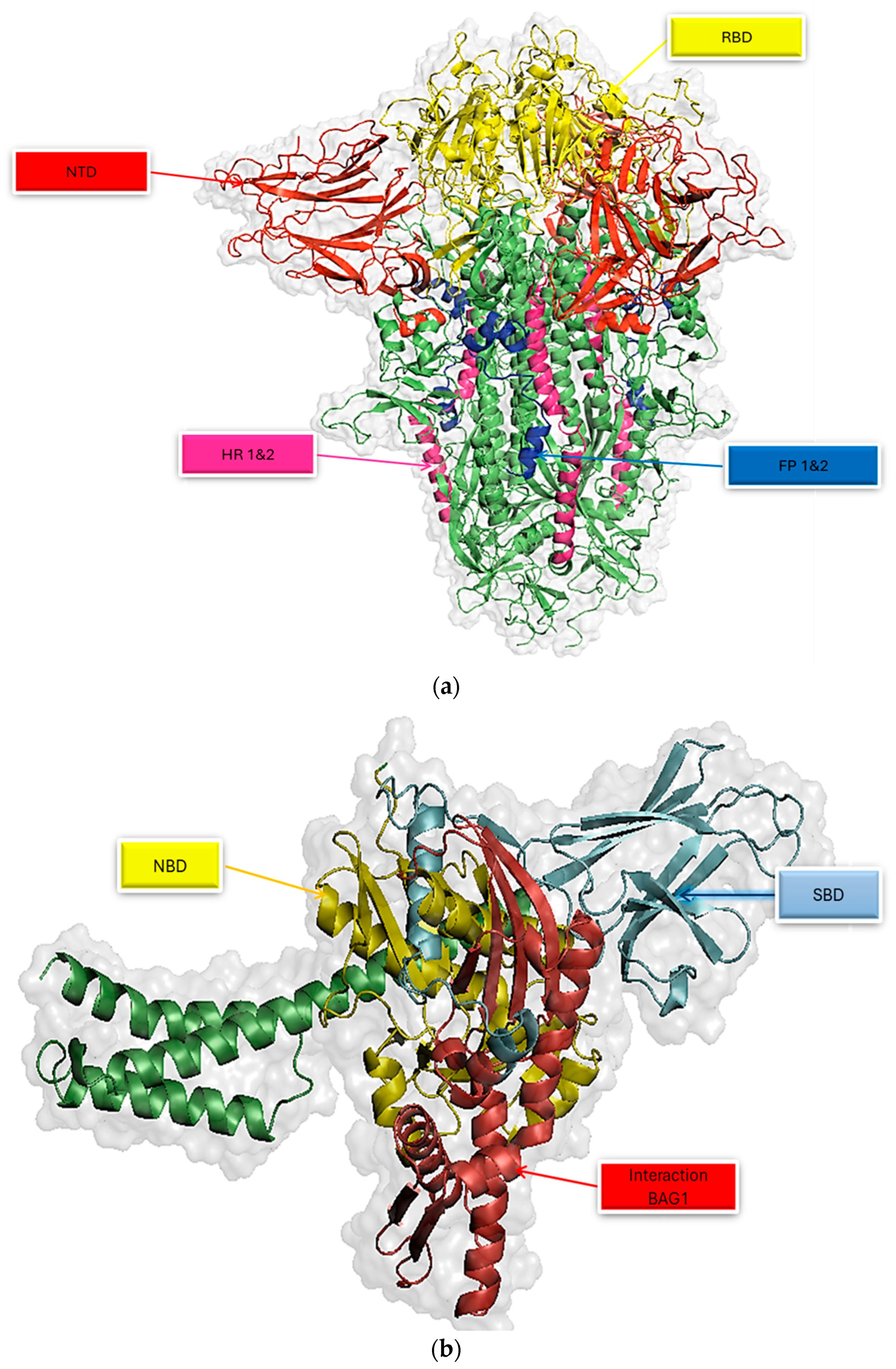 Viruses 16 01726 g001