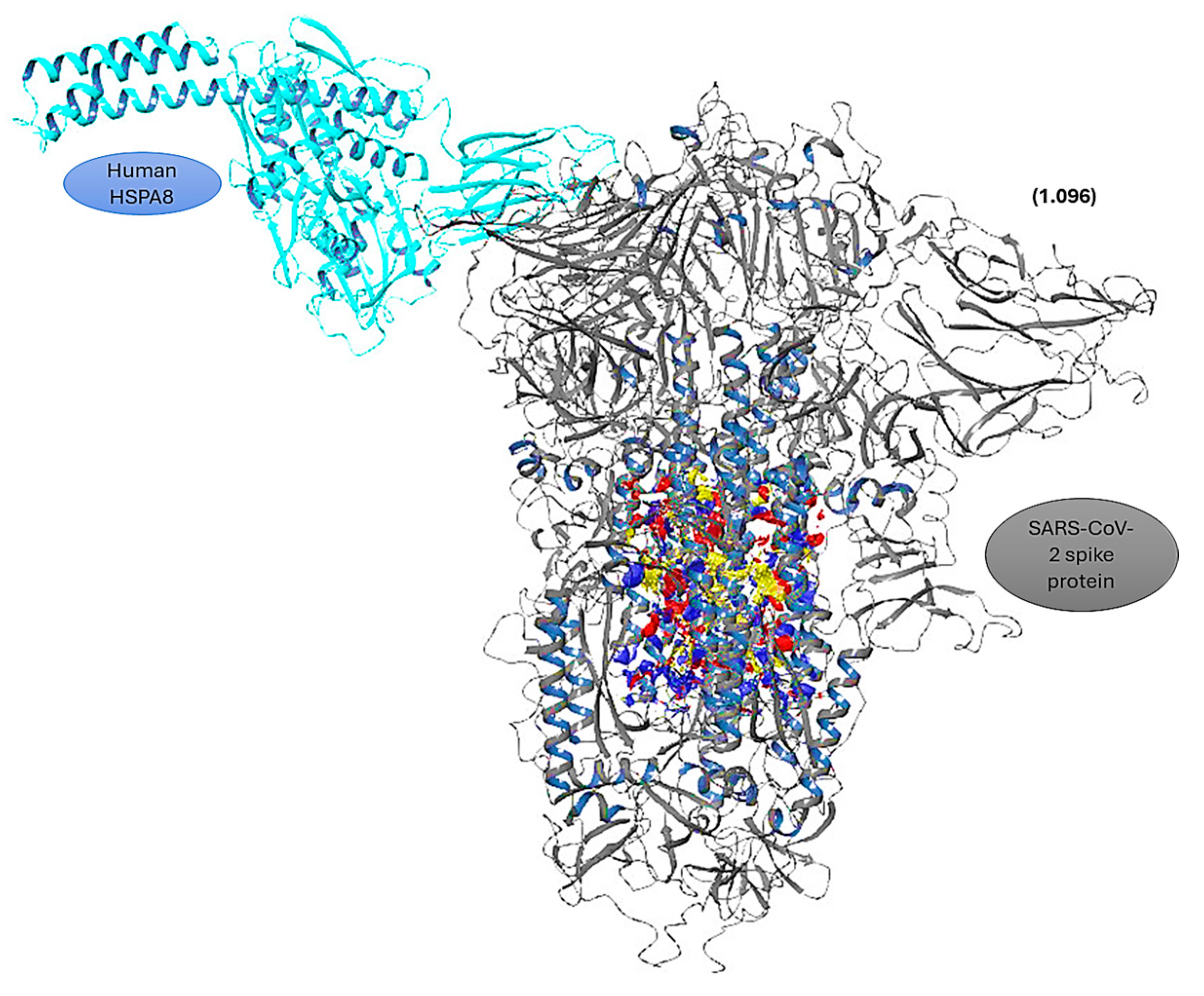 Viruses 16 01726 g008