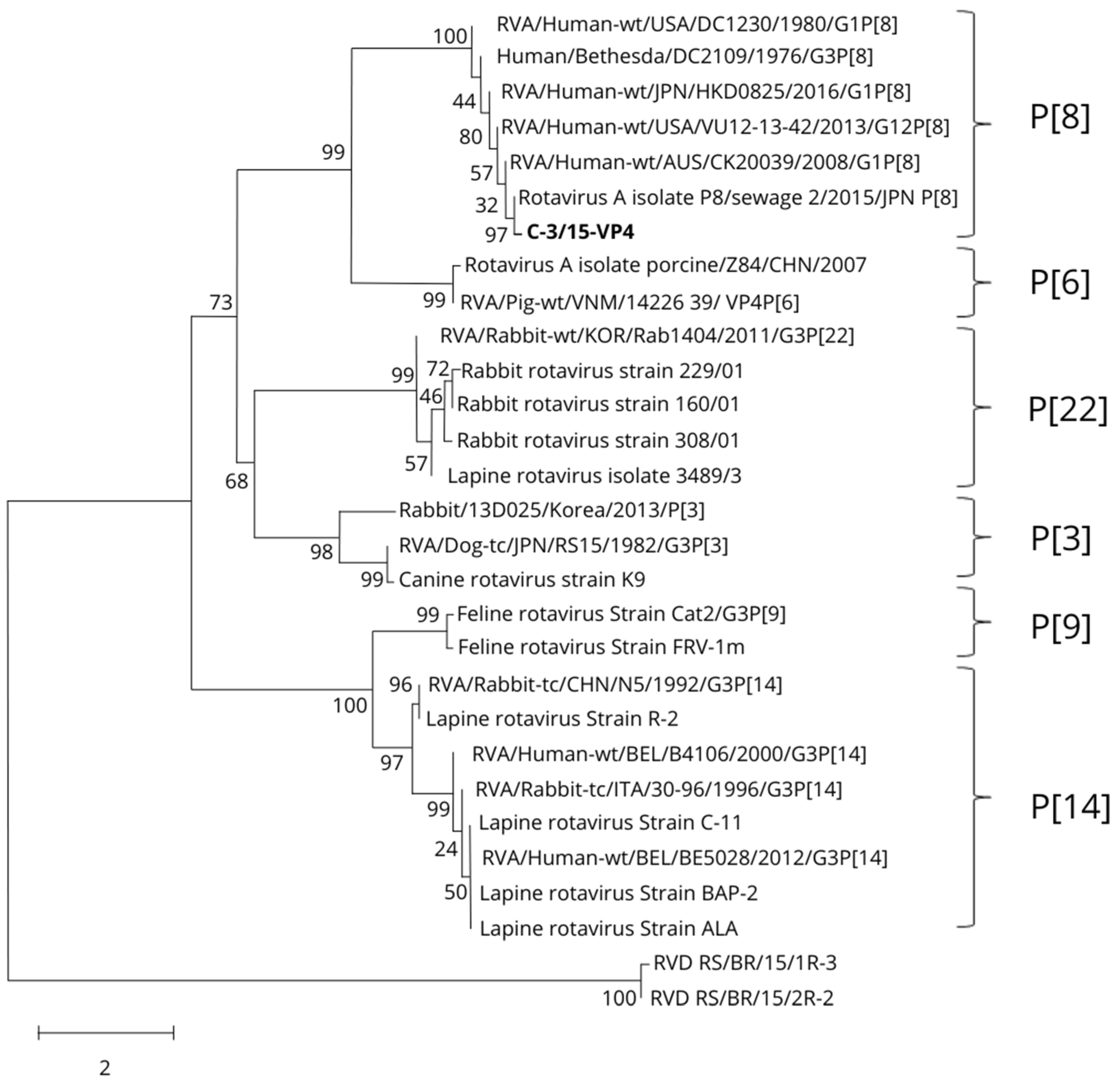 Viruses 16 01729 g001 Viruses 16 01729 g001