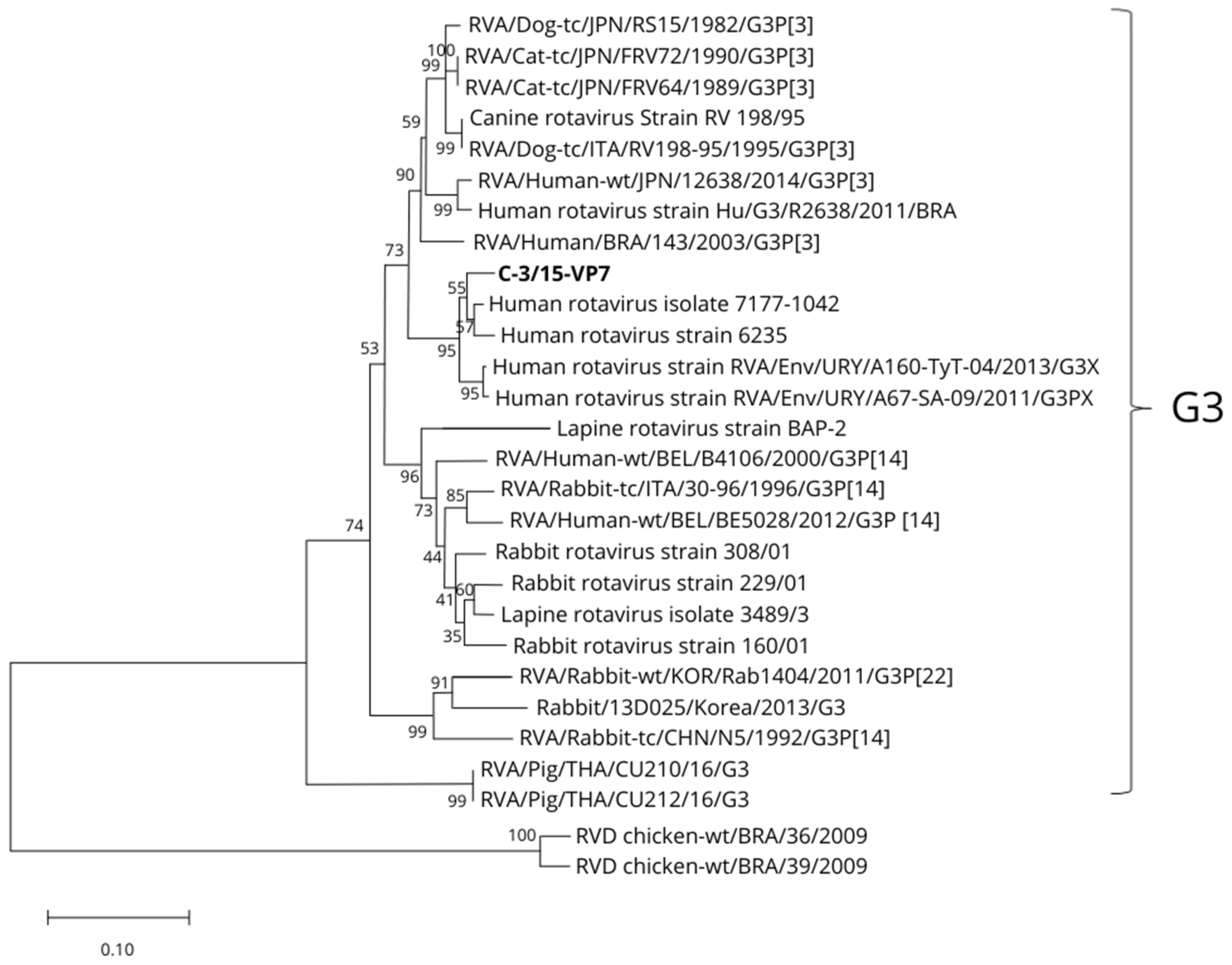Viruses 16 01729 g002 Viruses 16 01729 g002