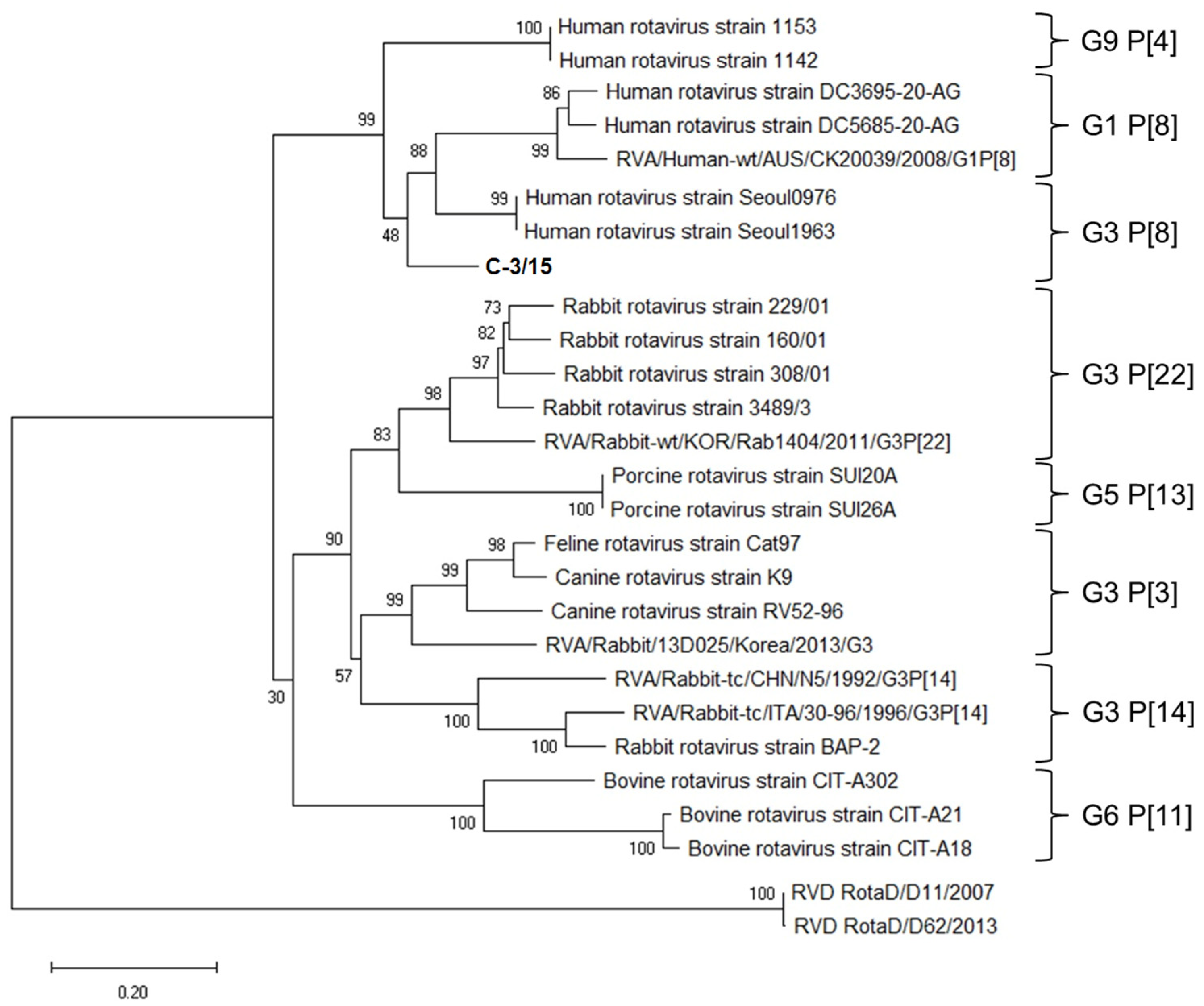 Viruses 16 01729 g004 Viruses 16 01729 g004