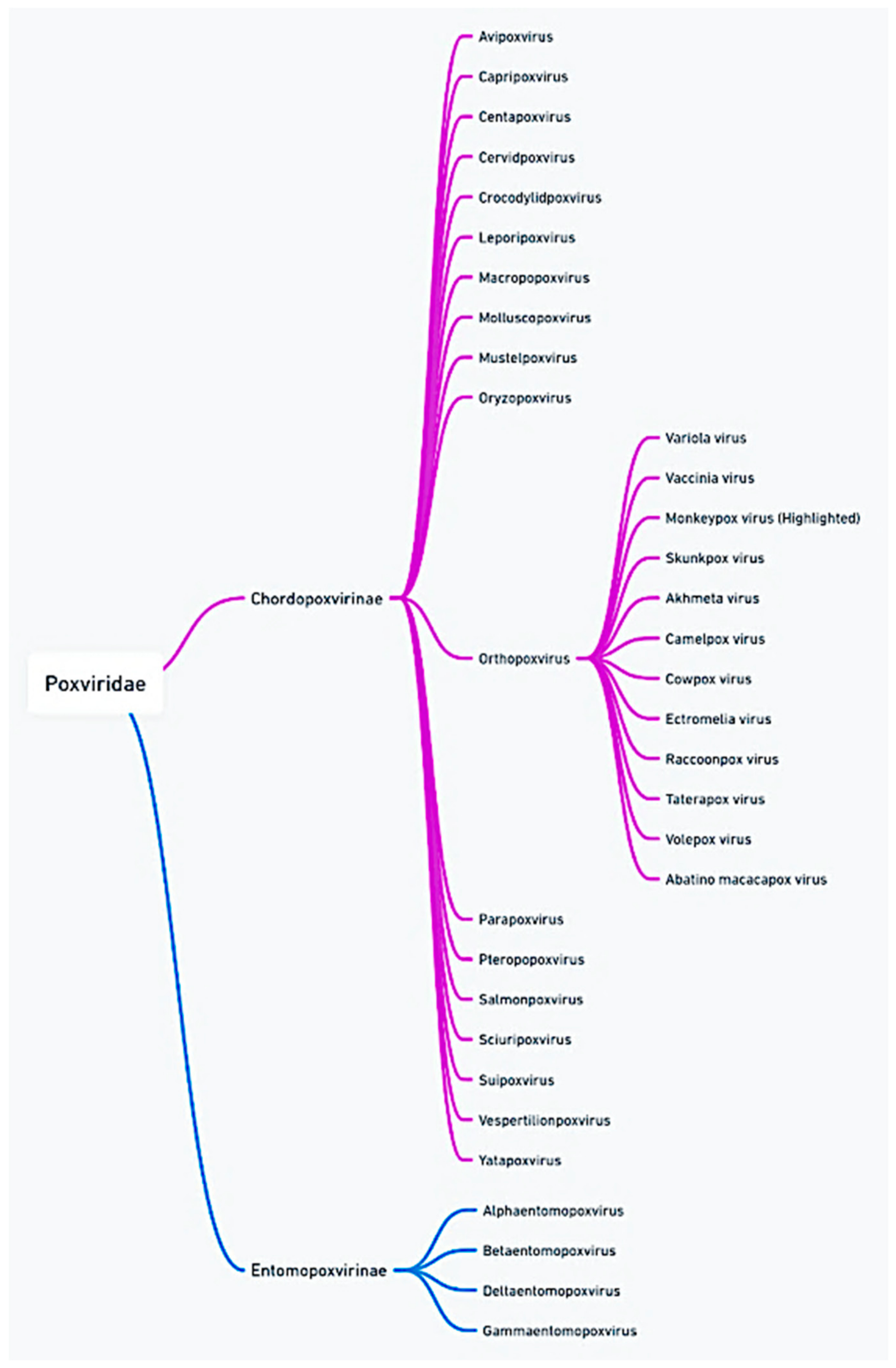 Viruses 16 01737 g001